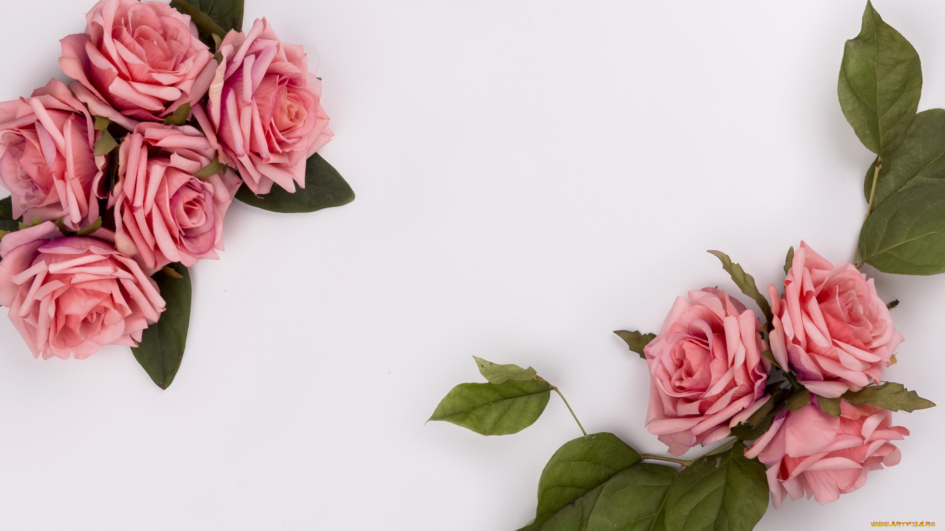 разное, ремесла, , поделки, , рукоделие, цветы, розы, композиция, pink, roses, розовые, flowers, букет