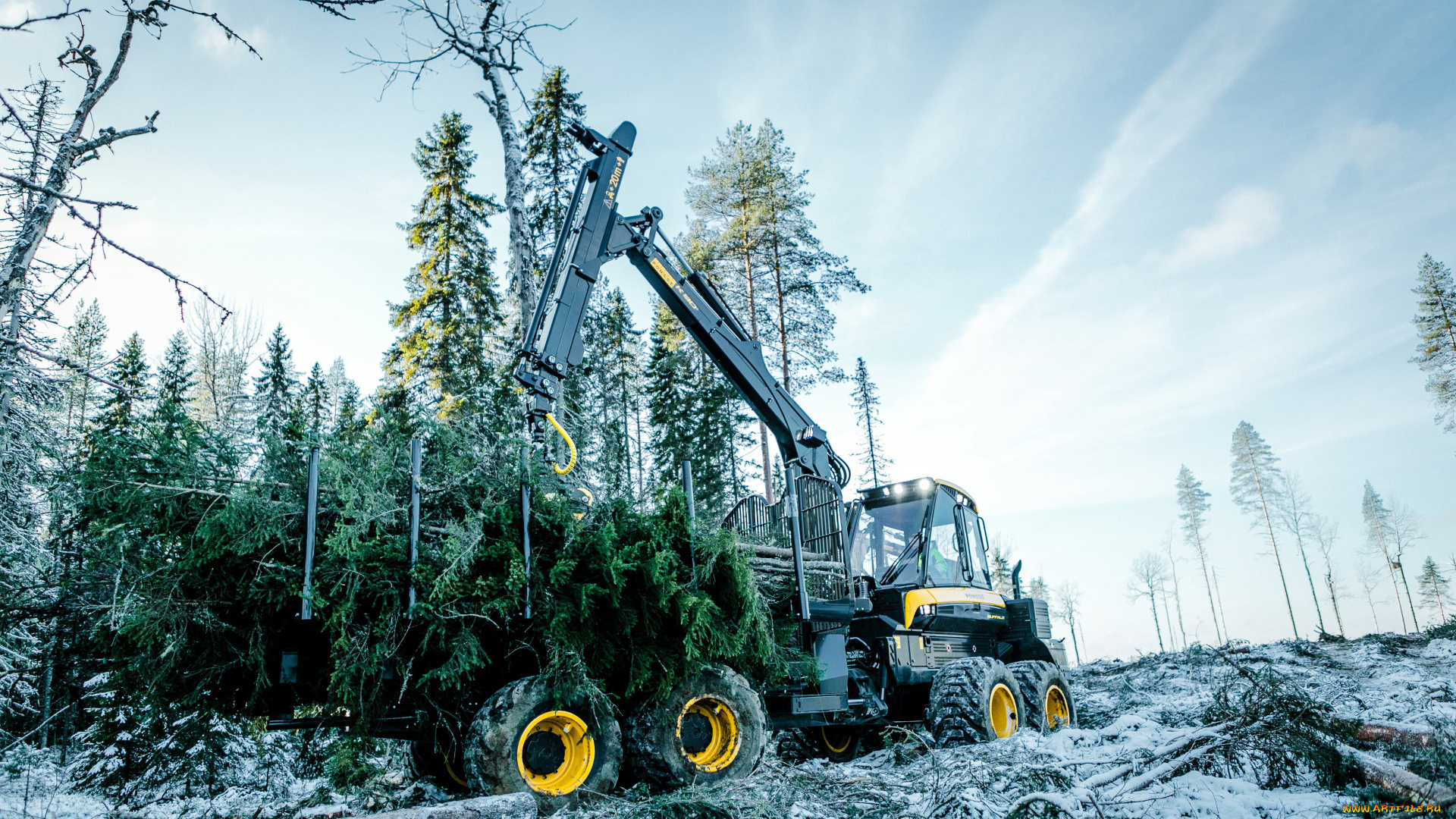 техника, лесоповалочная, техника, buffalo