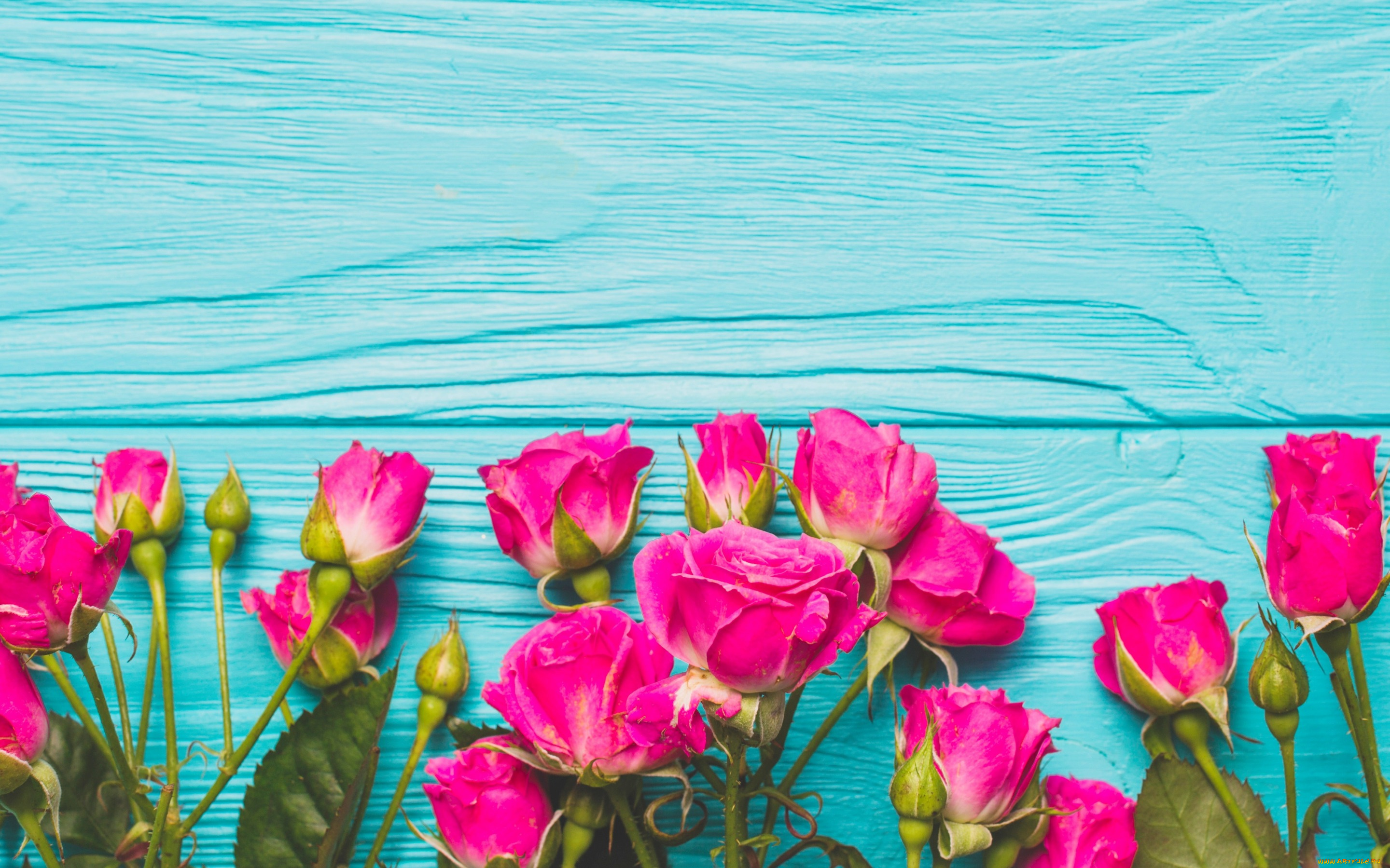 цветы, розы, flowers, romantic, бутоны, розовые, fresh, roses, wood, pink