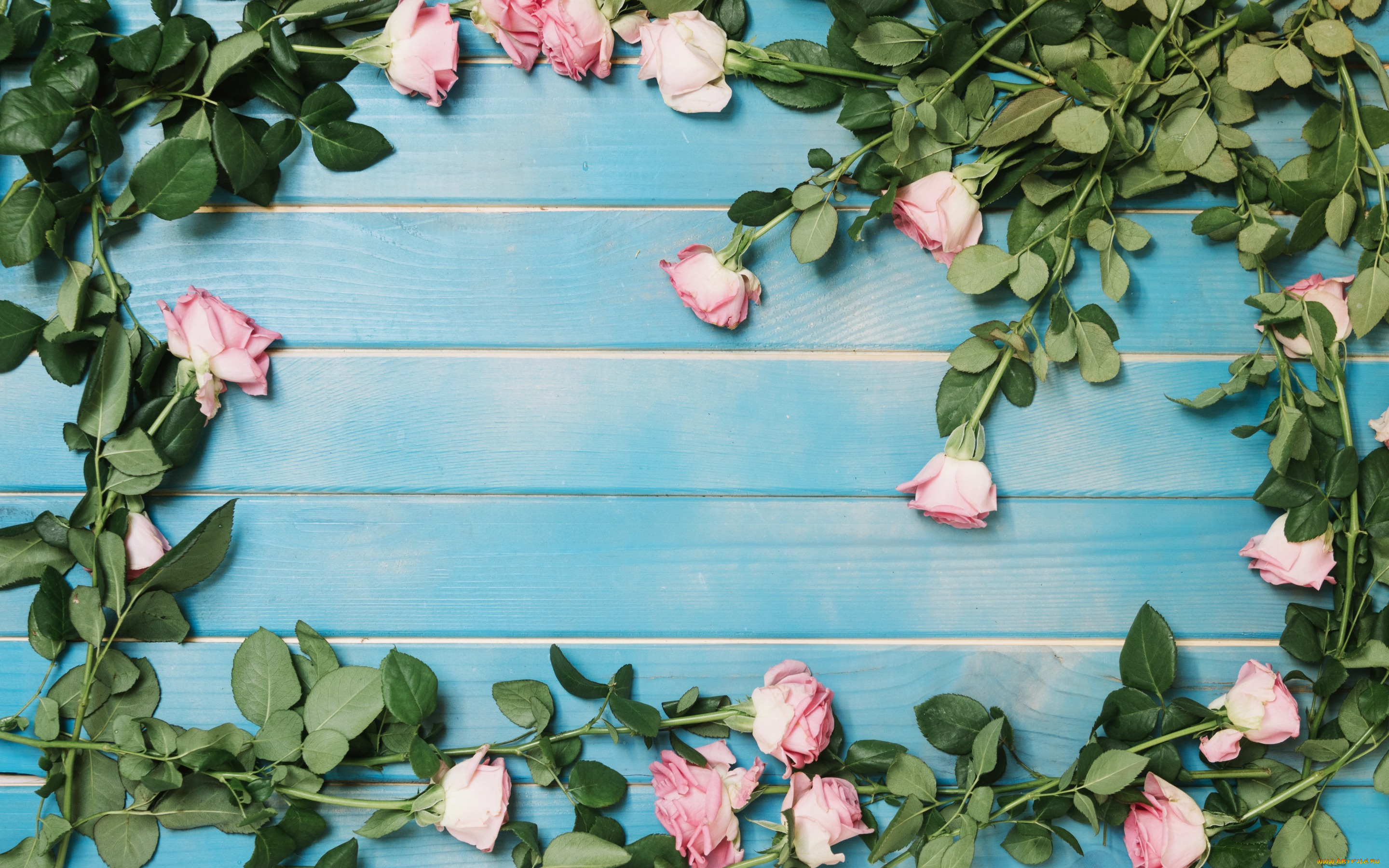 цветы, розы, roses, fresh, розовые, flowers, tender, romantic, pink, wood, бутоны