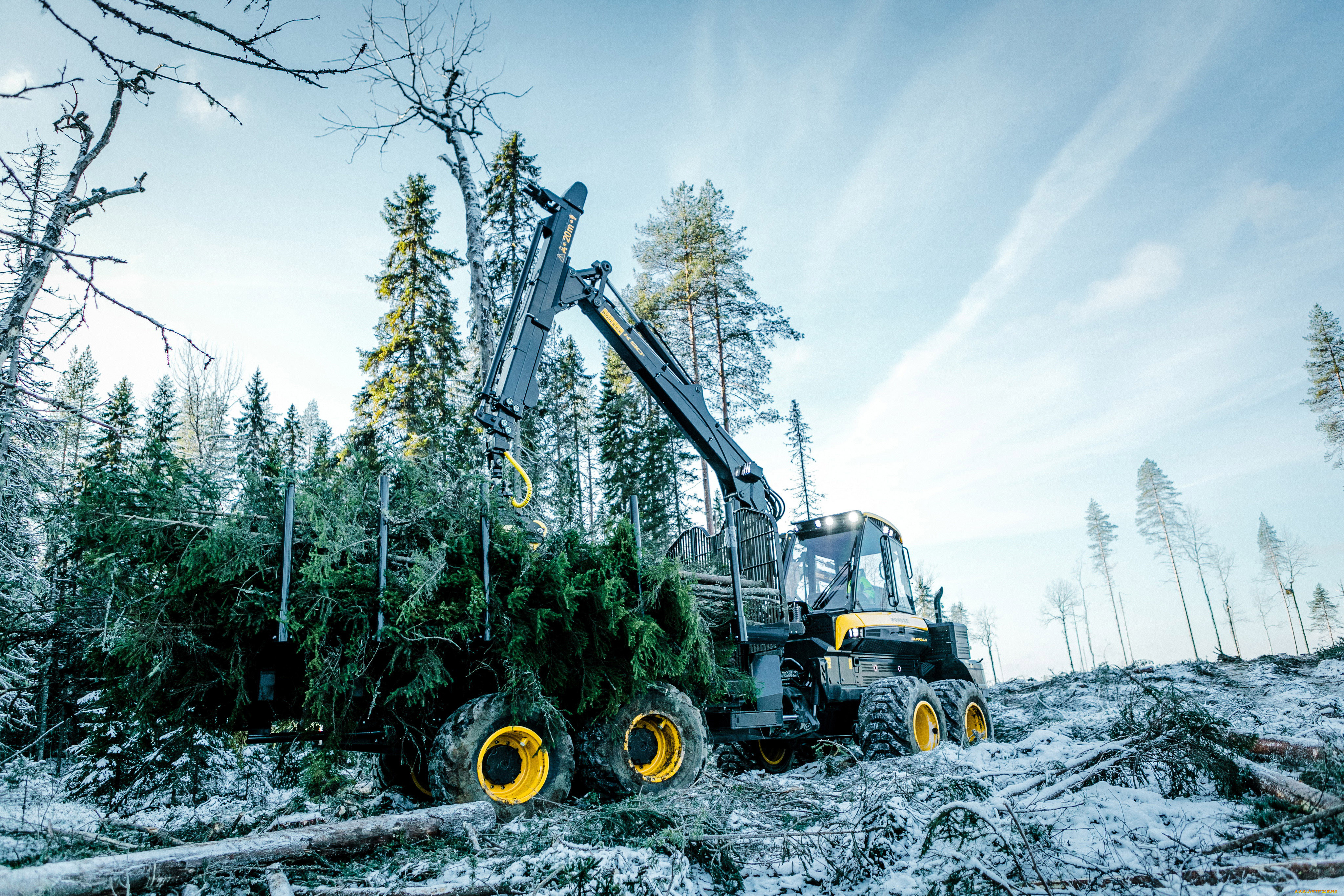 техника, лесоповалочная, техника, buffalo