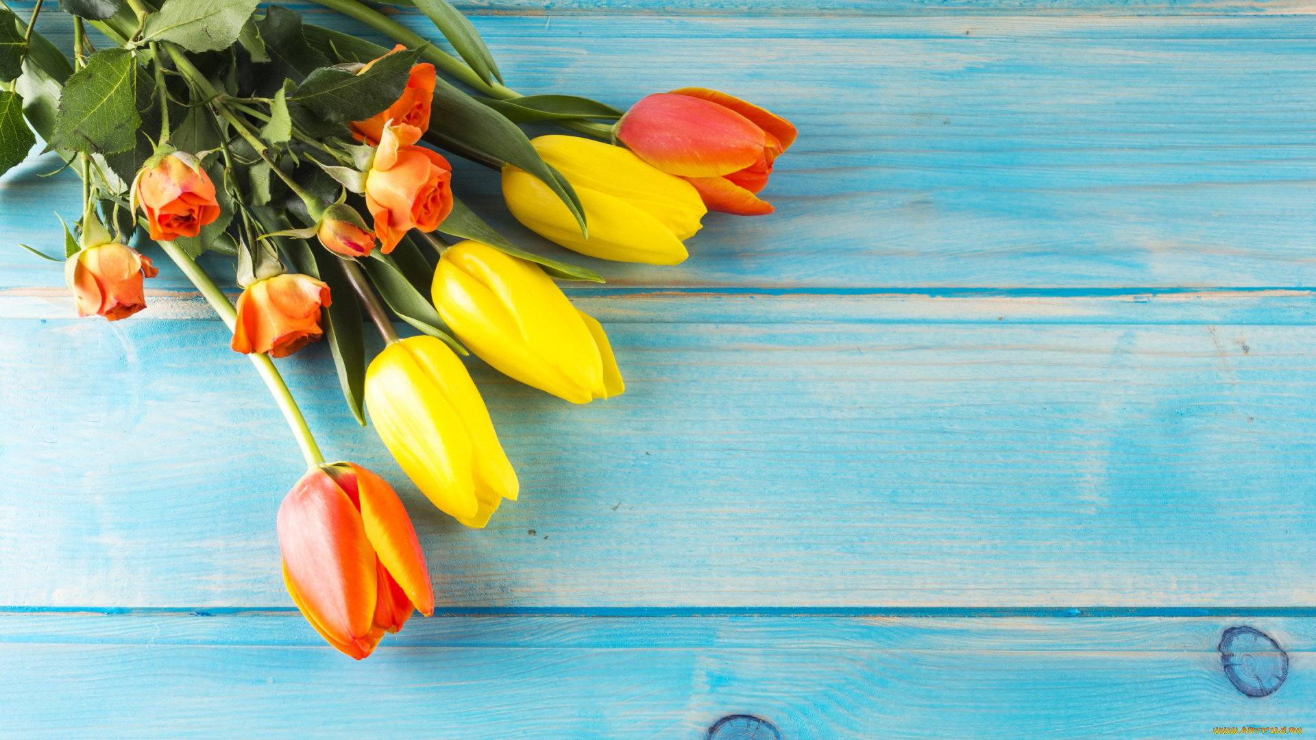 цветы, разные, вместе, стиль