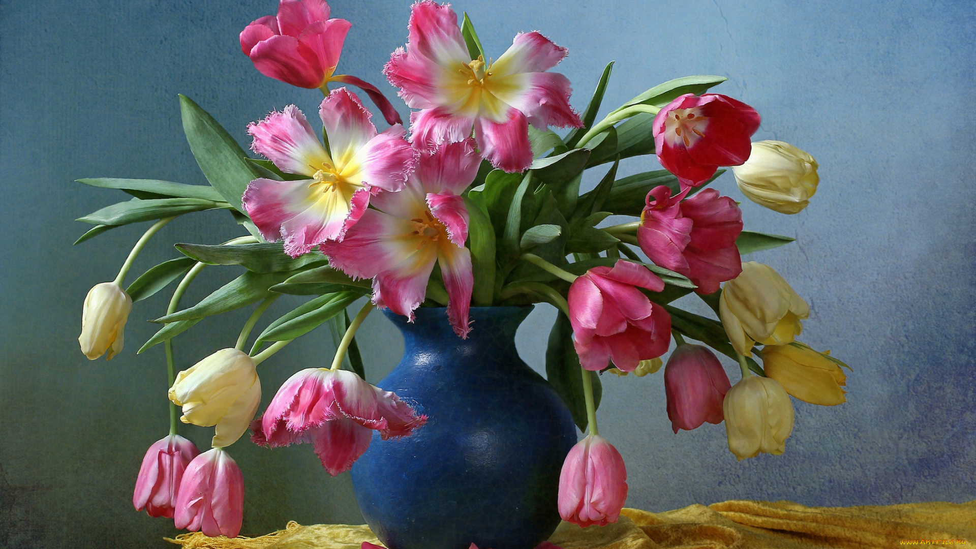 цветы, тюльпаны, букет