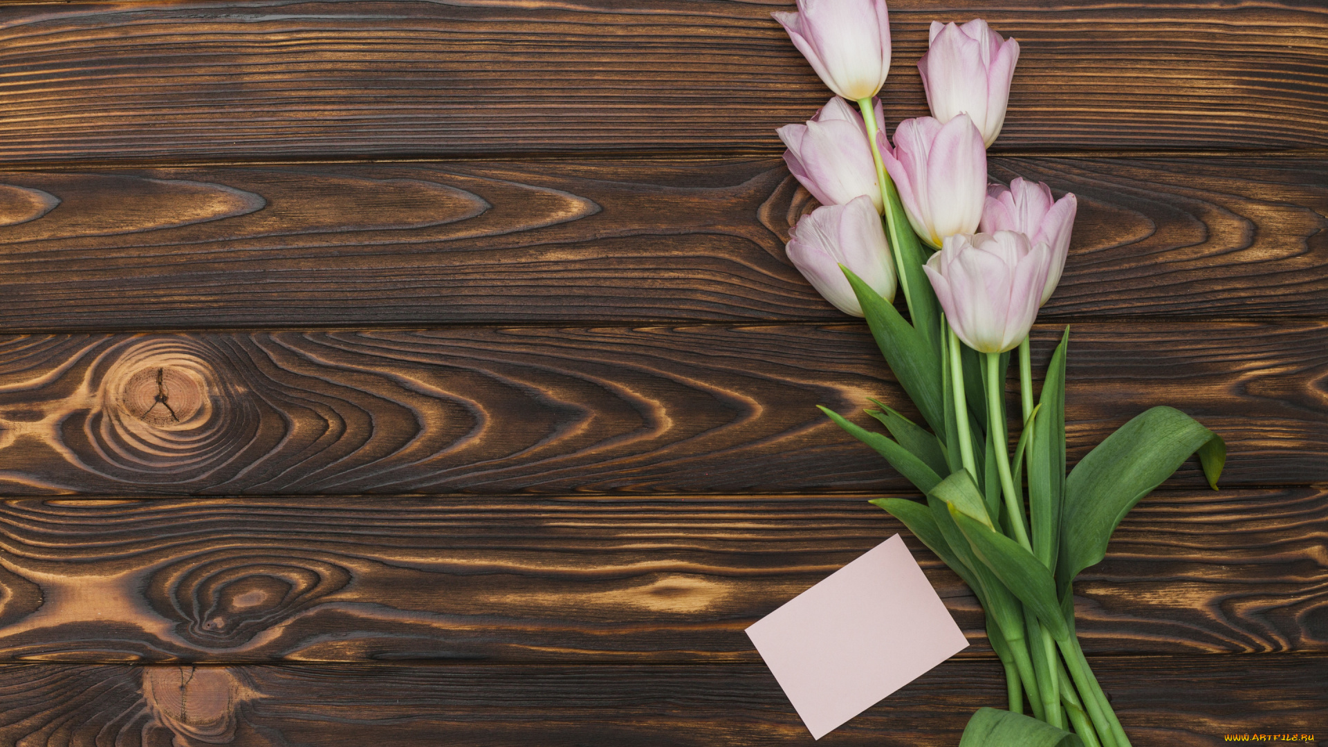 цветы, тюльпаны, букет