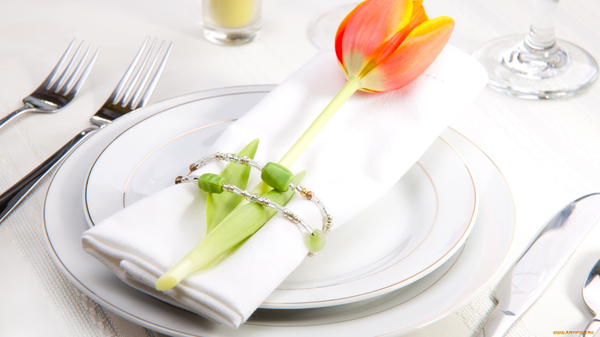 цветы, тюльпаны, тюльпан, посуда, сервировка, цветок