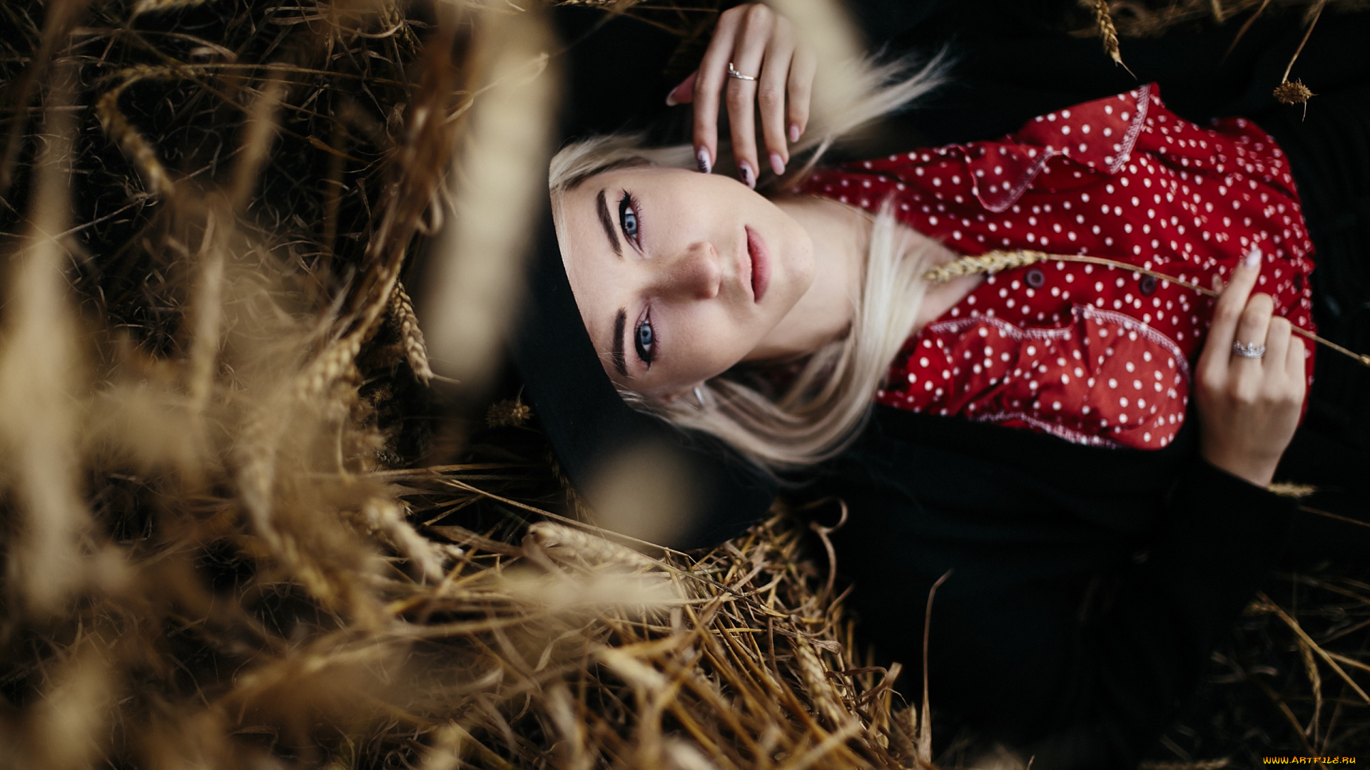 девушка, девушки, -unsort, , блондинки, , светловолосые, модель