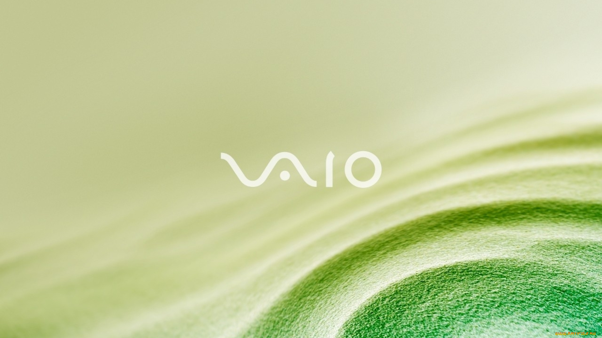 компьютеры, vaio, фон, логотип