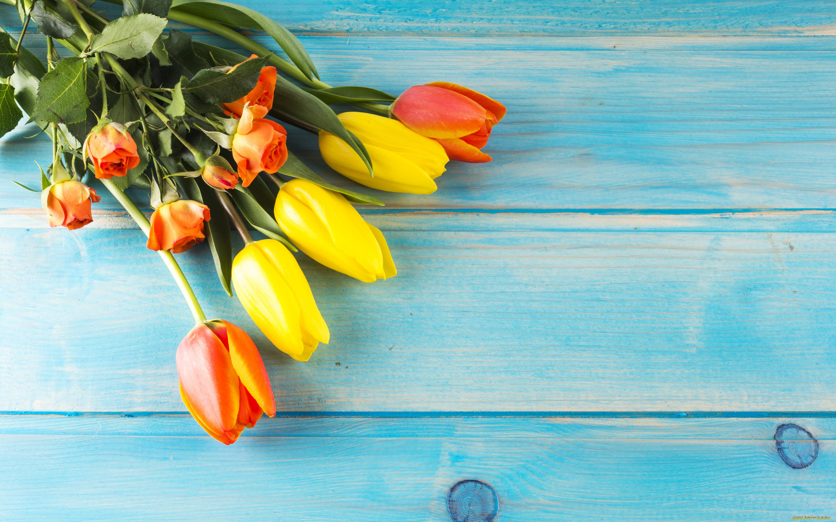 цветы, разные, вместе, стиль