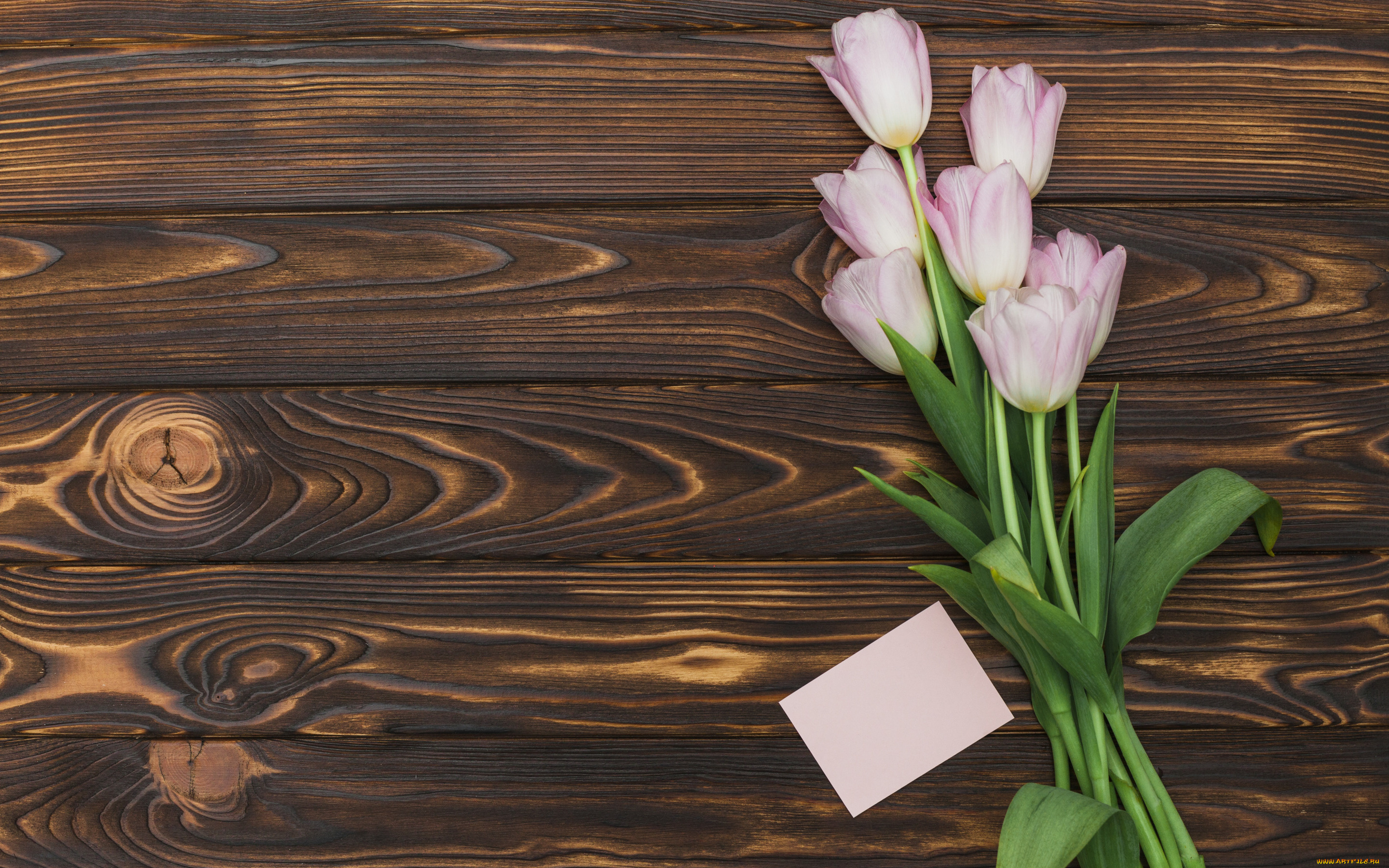 цветы, тюльпаны, букет