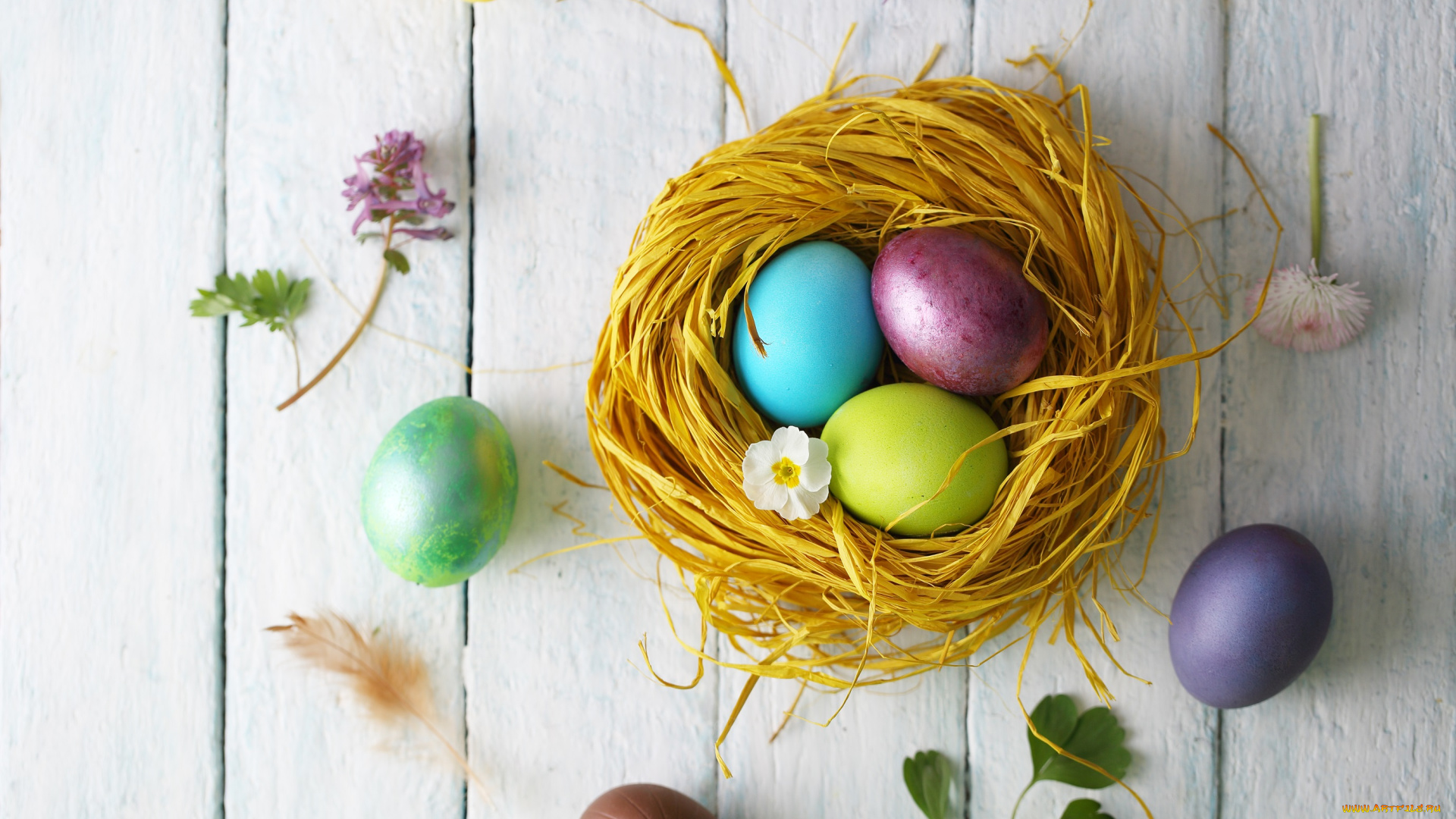 праздничные, пасха, праздник, гнездо, яйцв