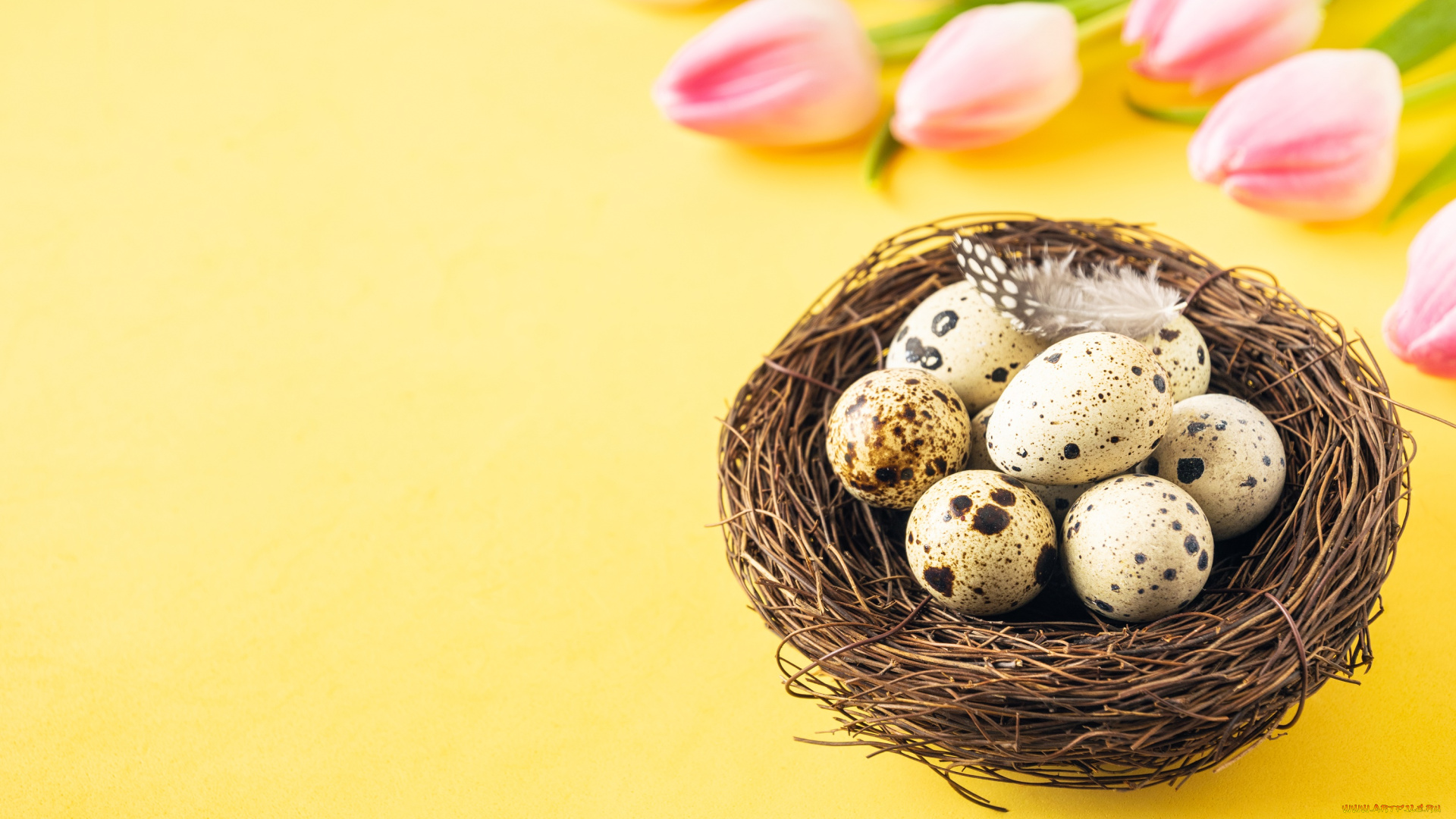 праздничные, пасха, праздник, яйца, тюльпаны, христианский