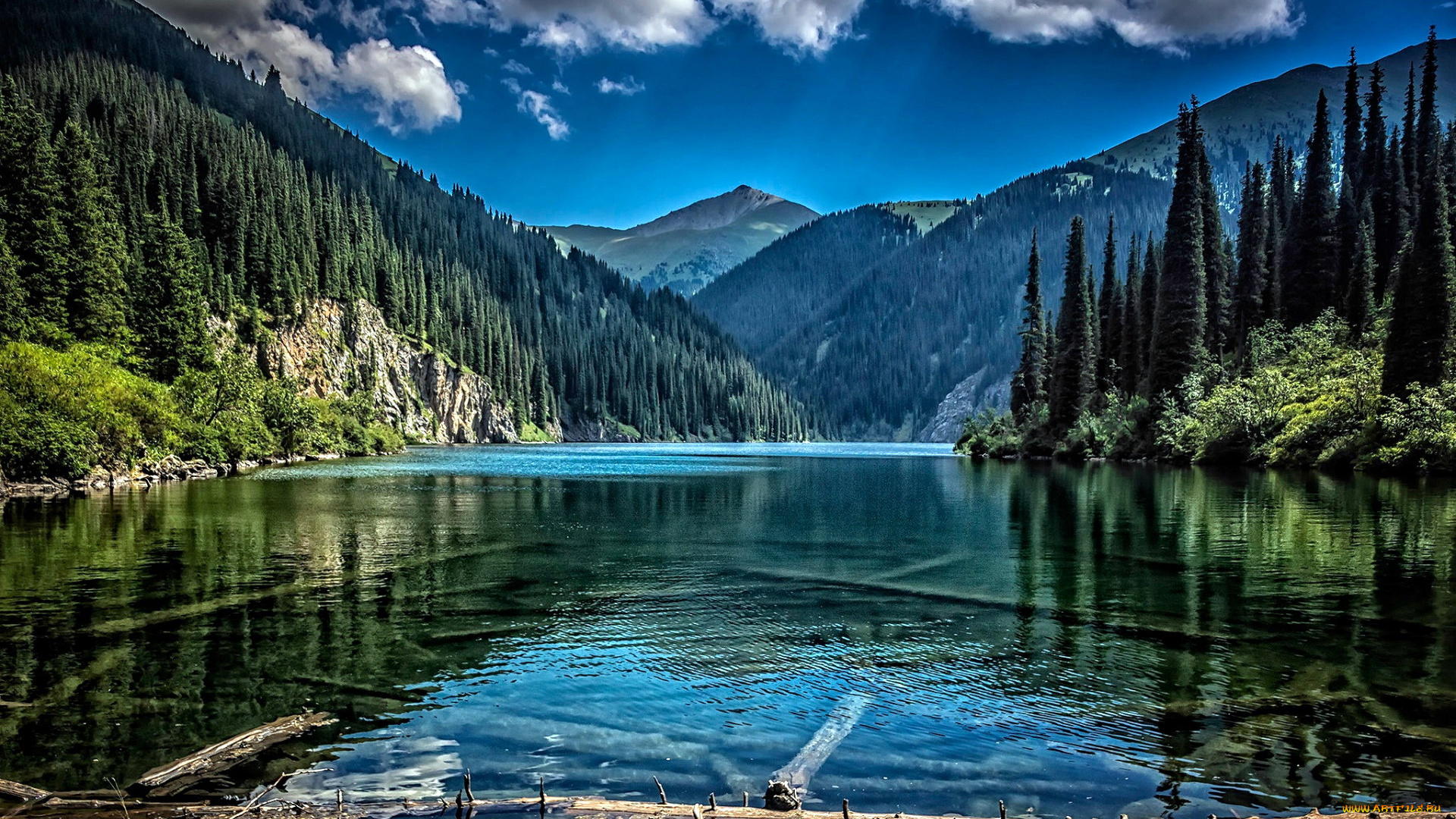 природа, реки, озера, река