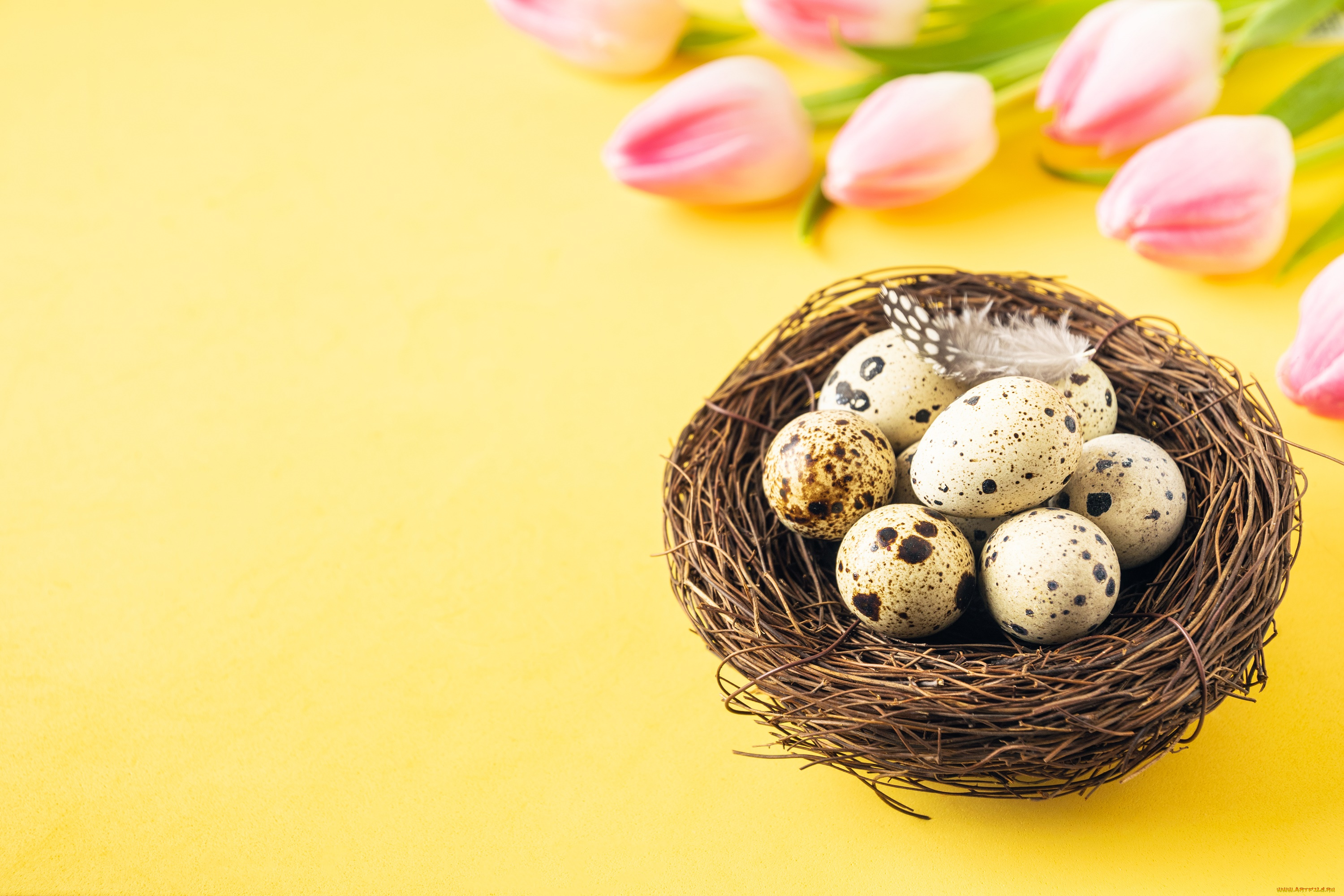 праздничные, пасха, праздник, яйца, тюльпаны, христианский