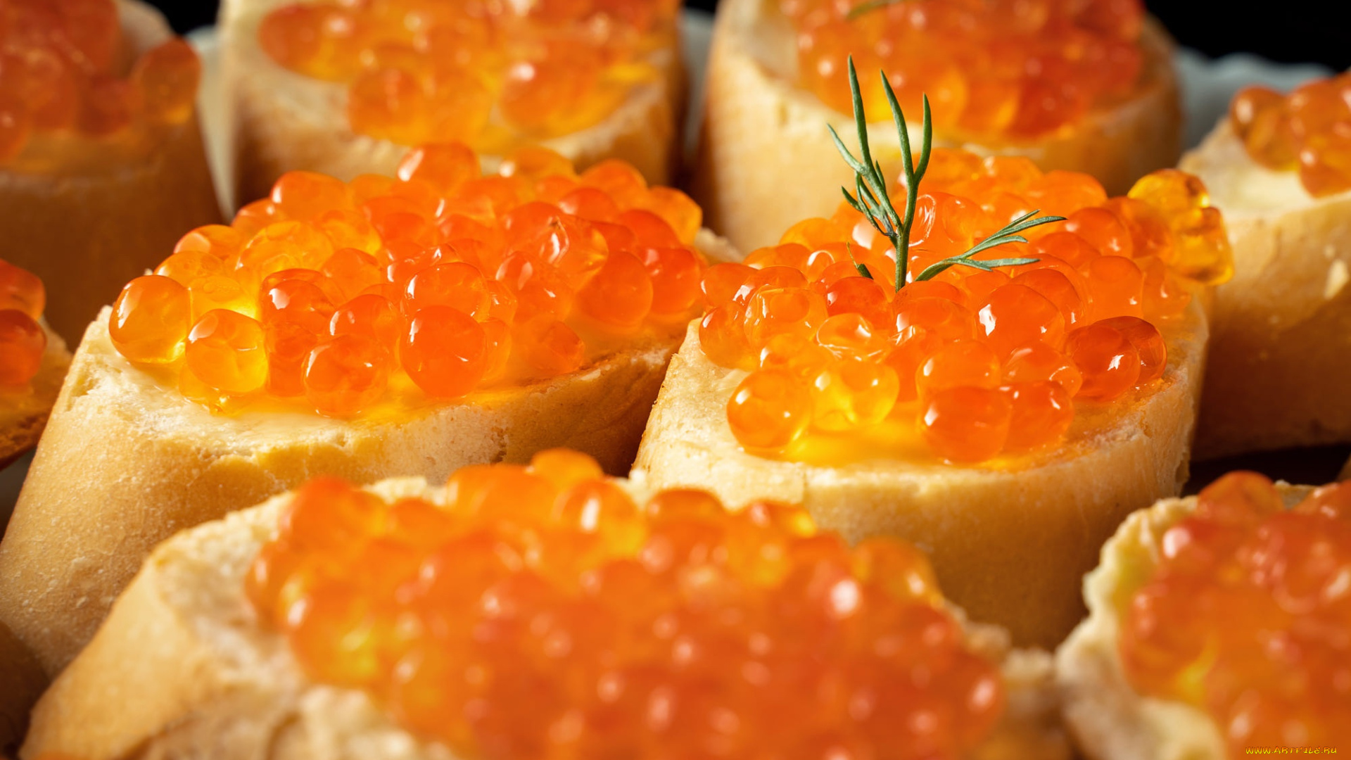 еда, бутерброды, , гамбургеры, , канапе, макро, укроп, хлеб, много, икра, красная, закуска, батон