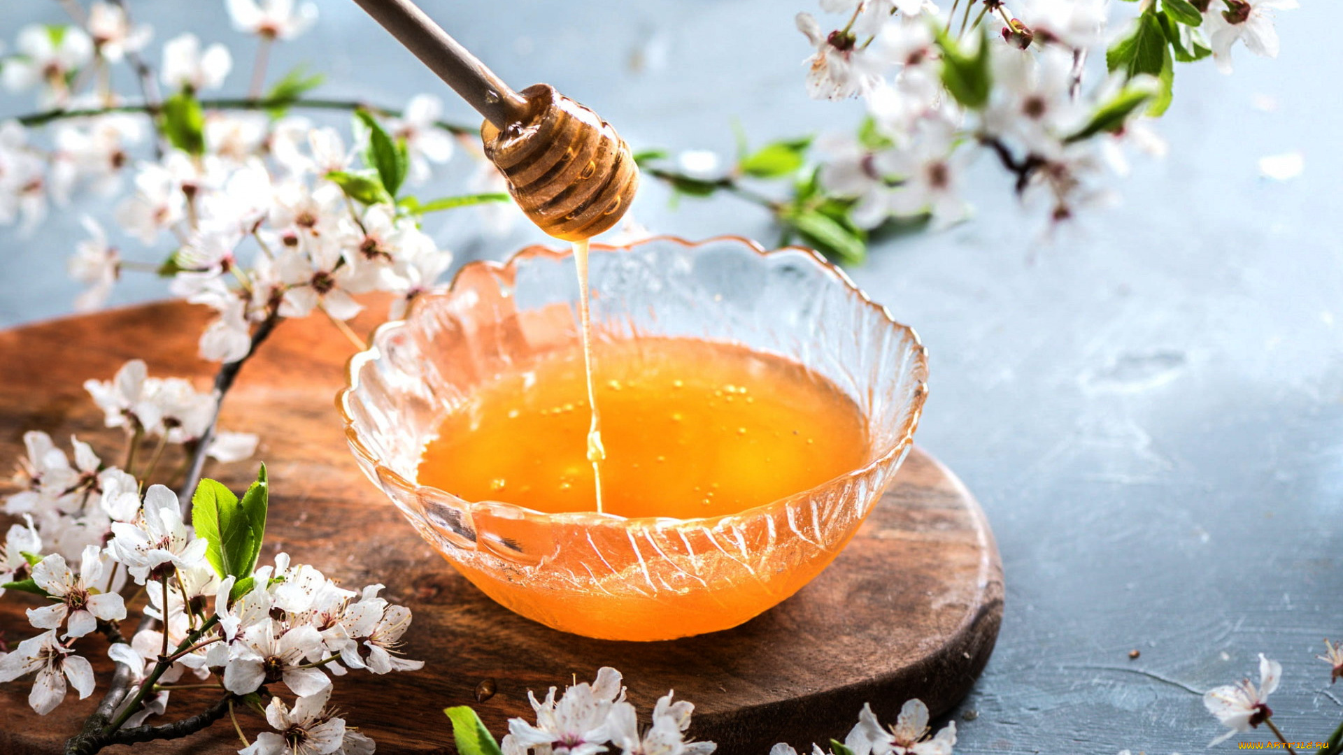 еда, мёд, , варенье, , повидло, , джем, цветущие, ветки, мед, весна