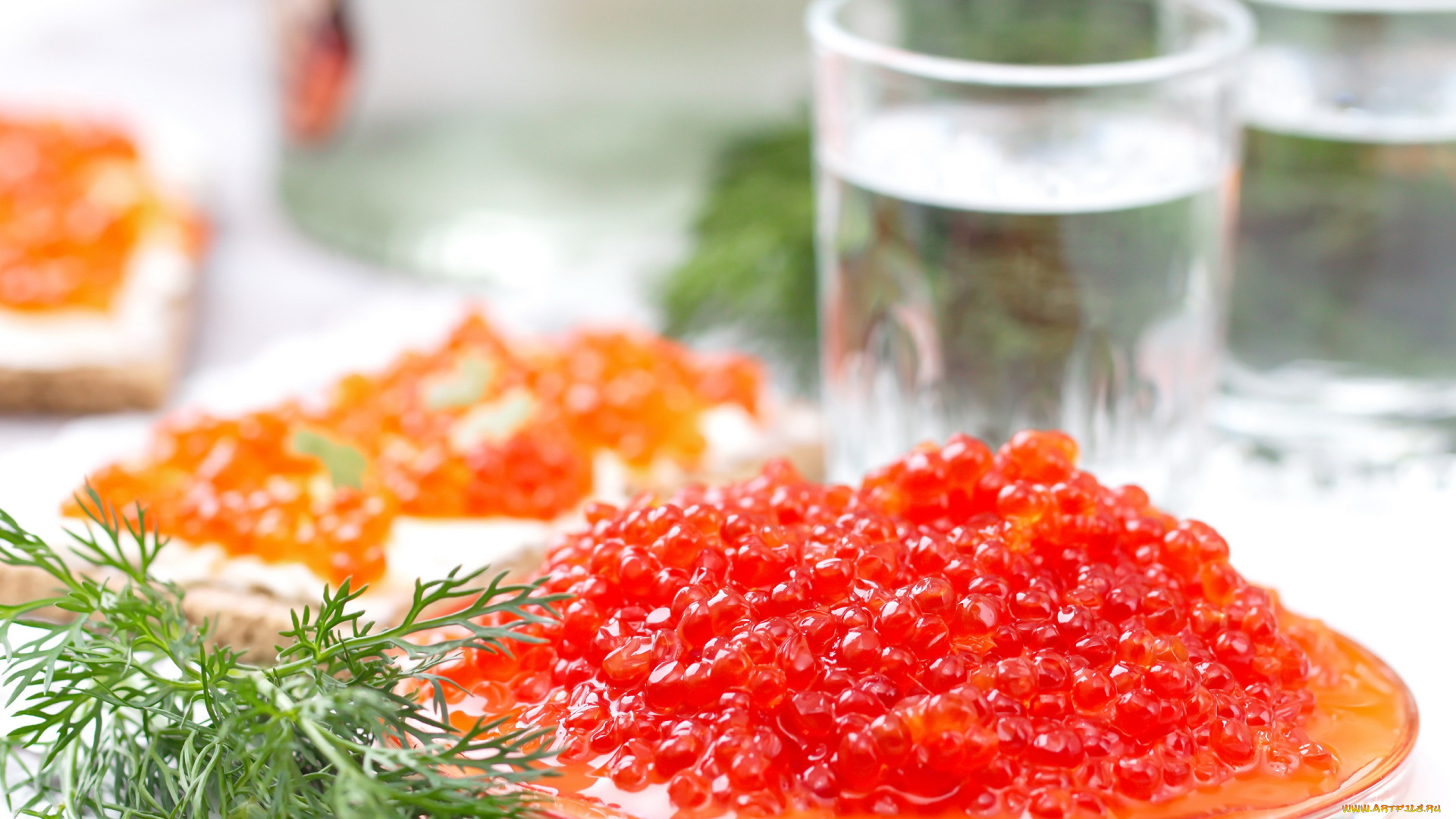 еда, икра, красная, деликатес, укроп
