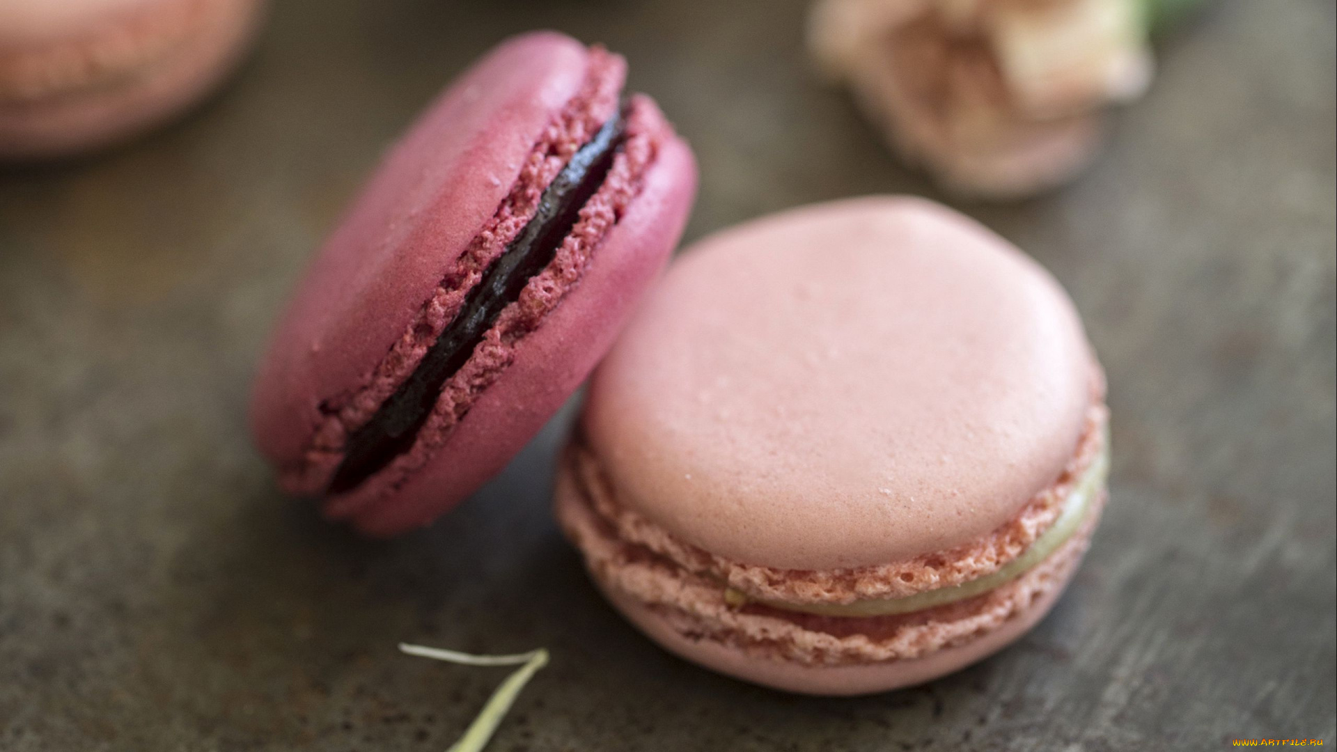 еда, макаруны, лакомство, печенье