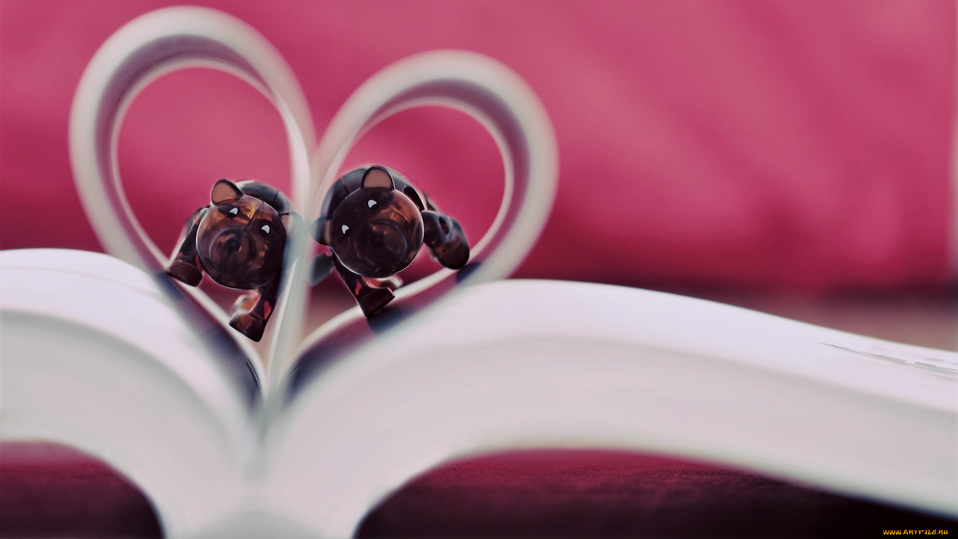 разное, канцелярия, , книги, книга, страницы, игрушки, звери