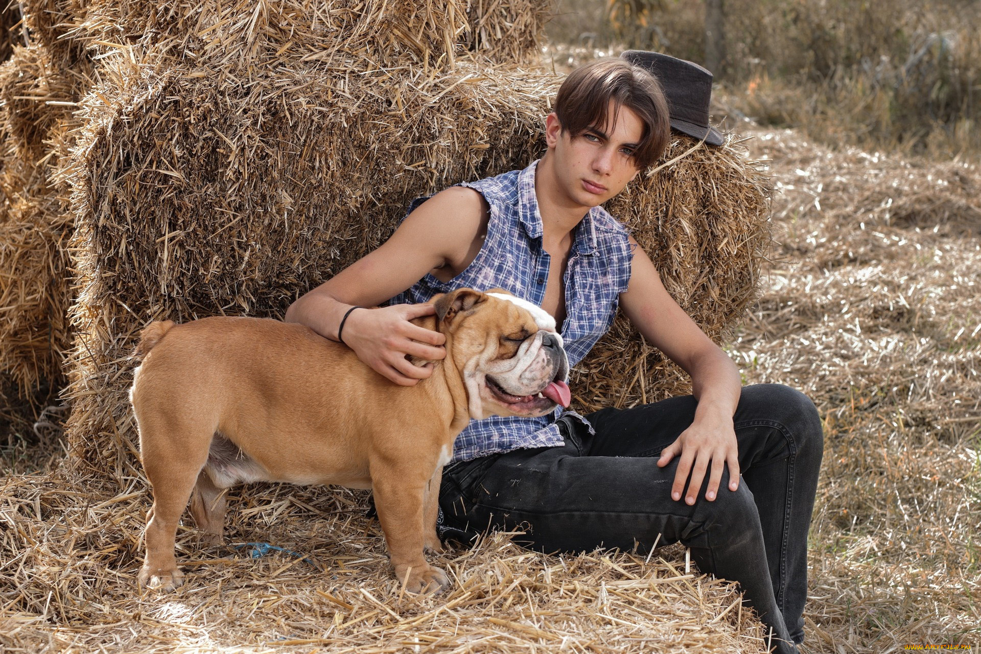 мужчины, -unsort, сено, шляпа, бульдог