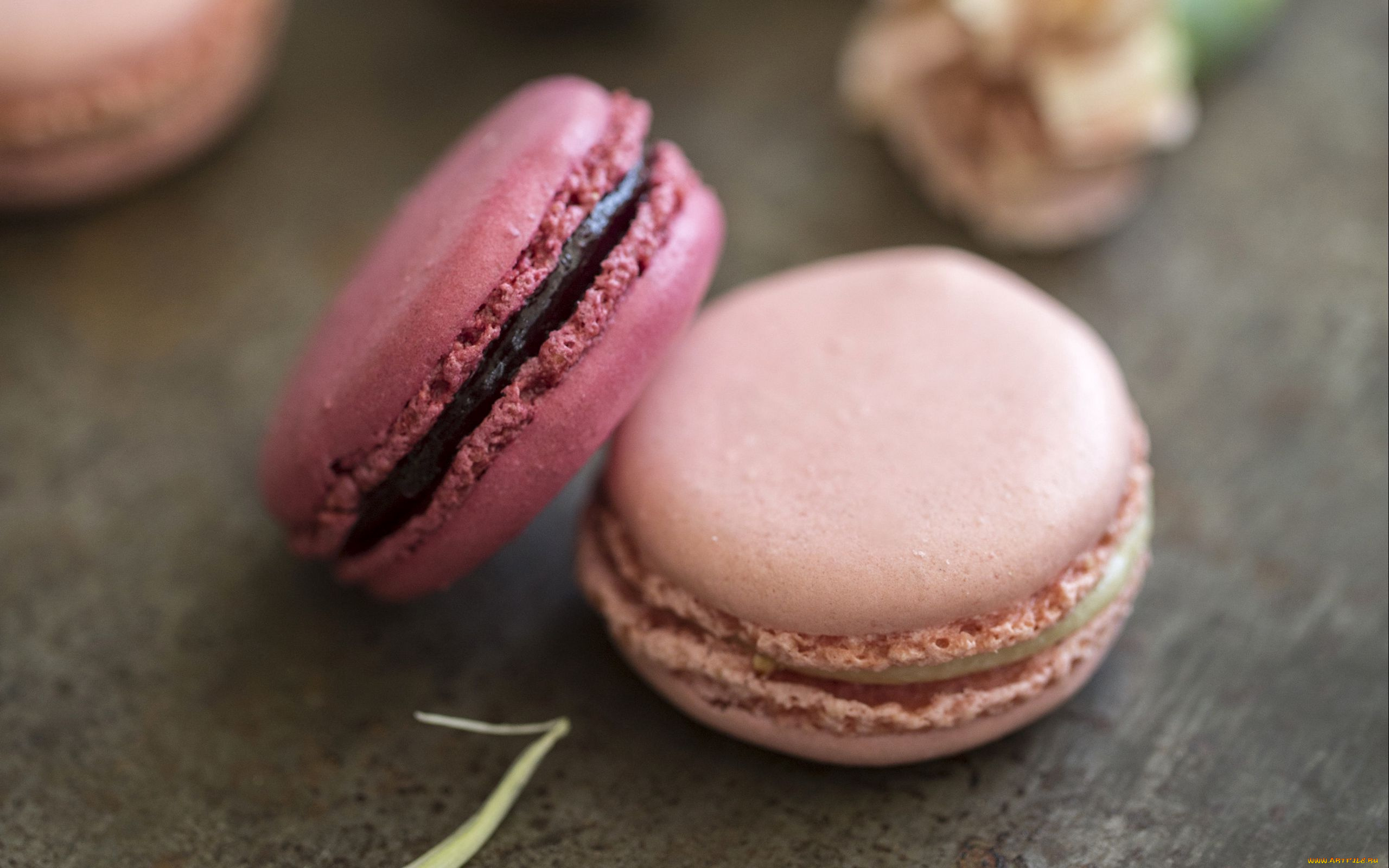 еда, макаруны, лакомство, печенье