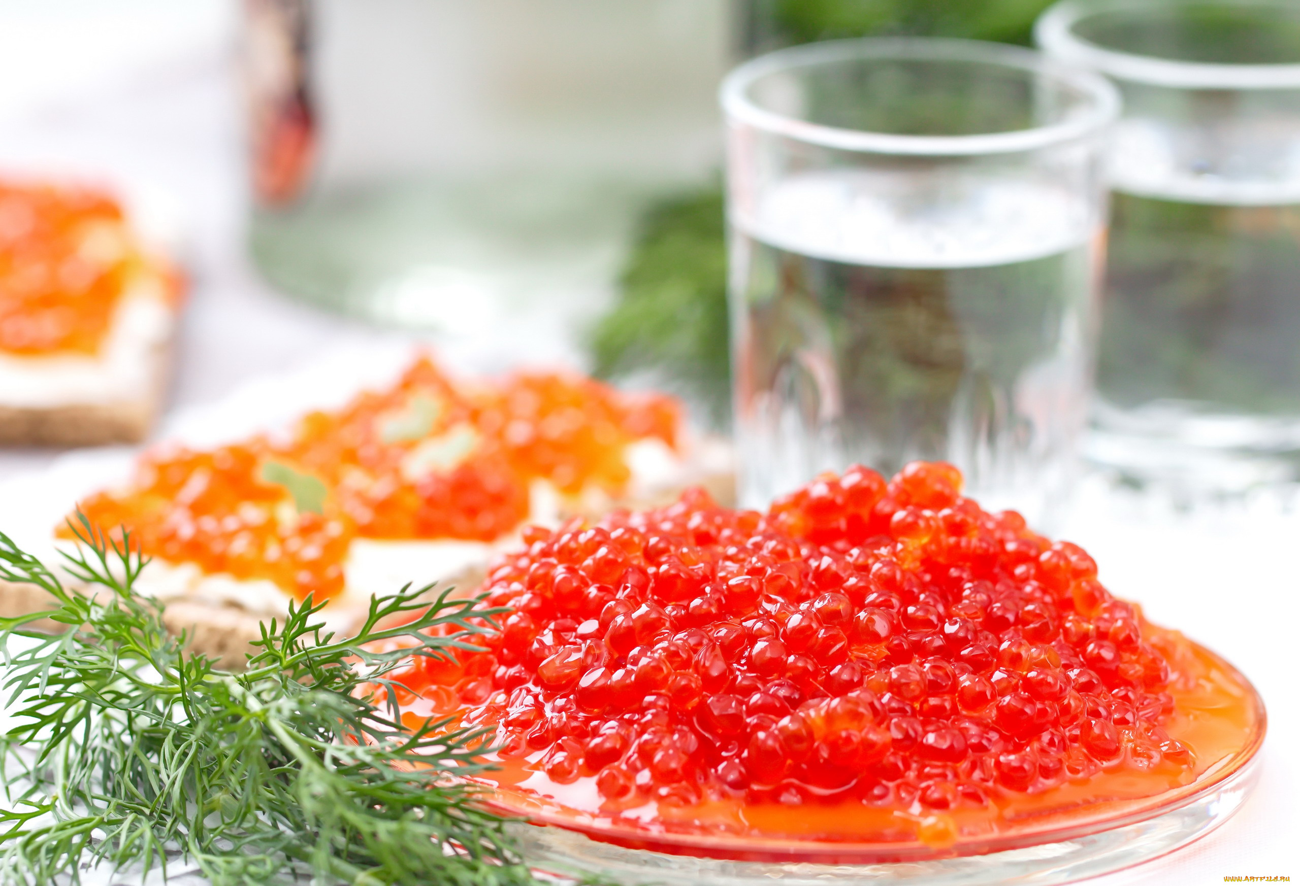 еда, икра, красная, деликатес, укроп