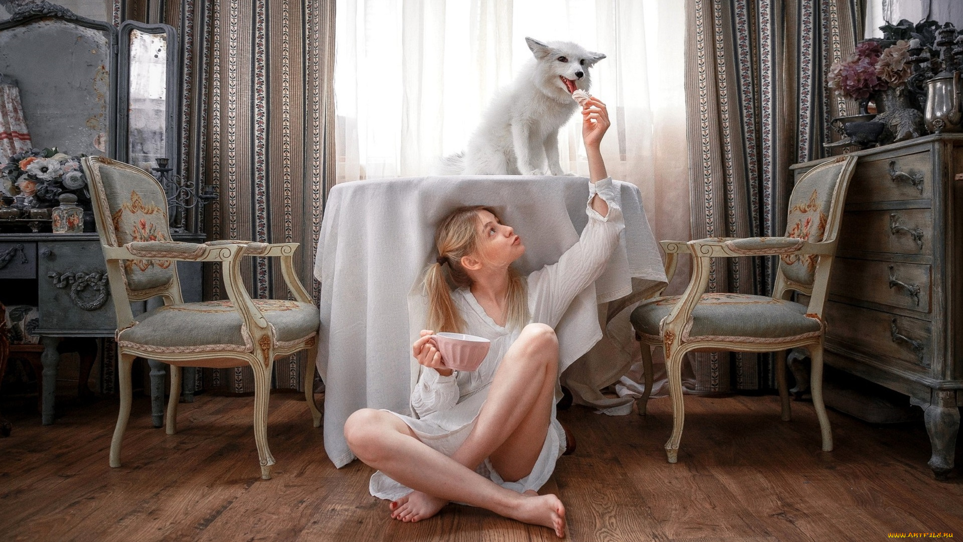 девушки, -, блондинки, , светловолосые, блондинка, чашка, пол, зефир, стол, собака