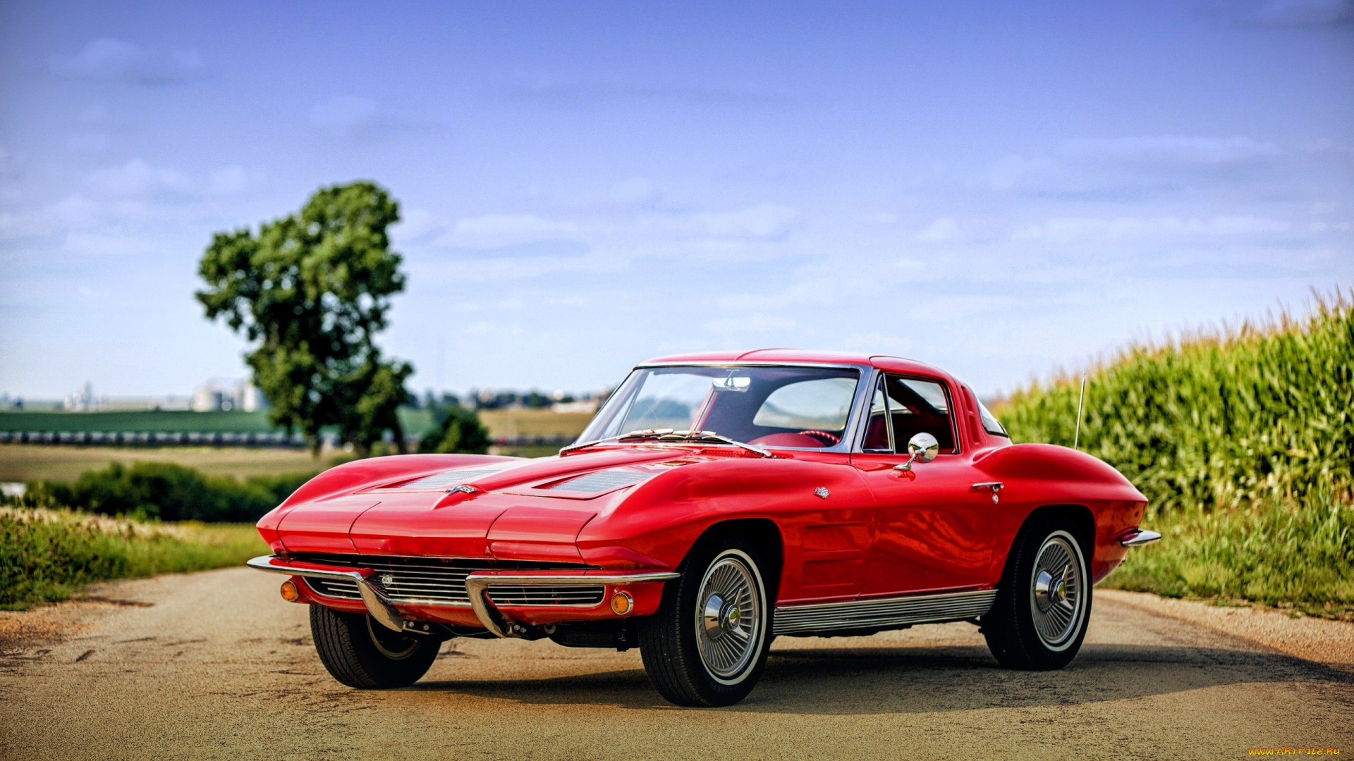 chevrolet, corvette, автомобили, corvette, красный, дорога, поля, дерево