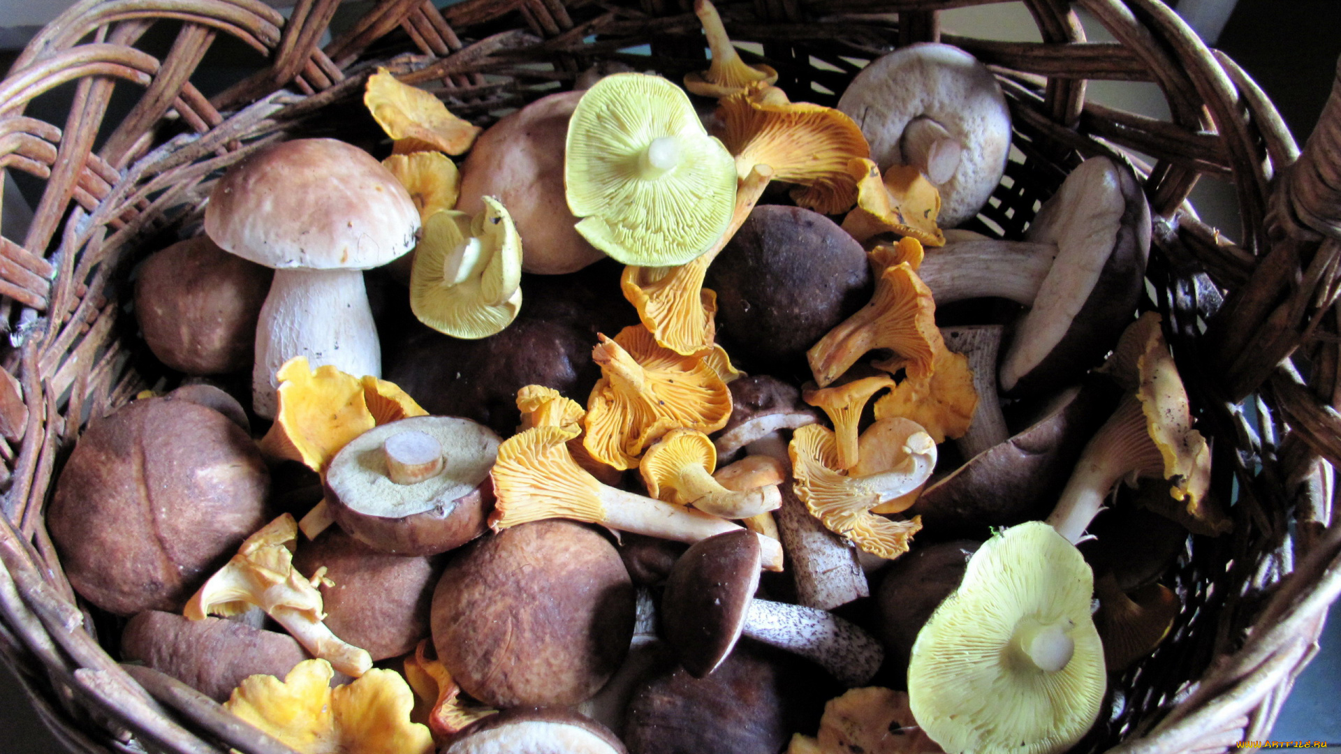 еда, грибы, , грибные, блюда, корзина, лесные, ассорти