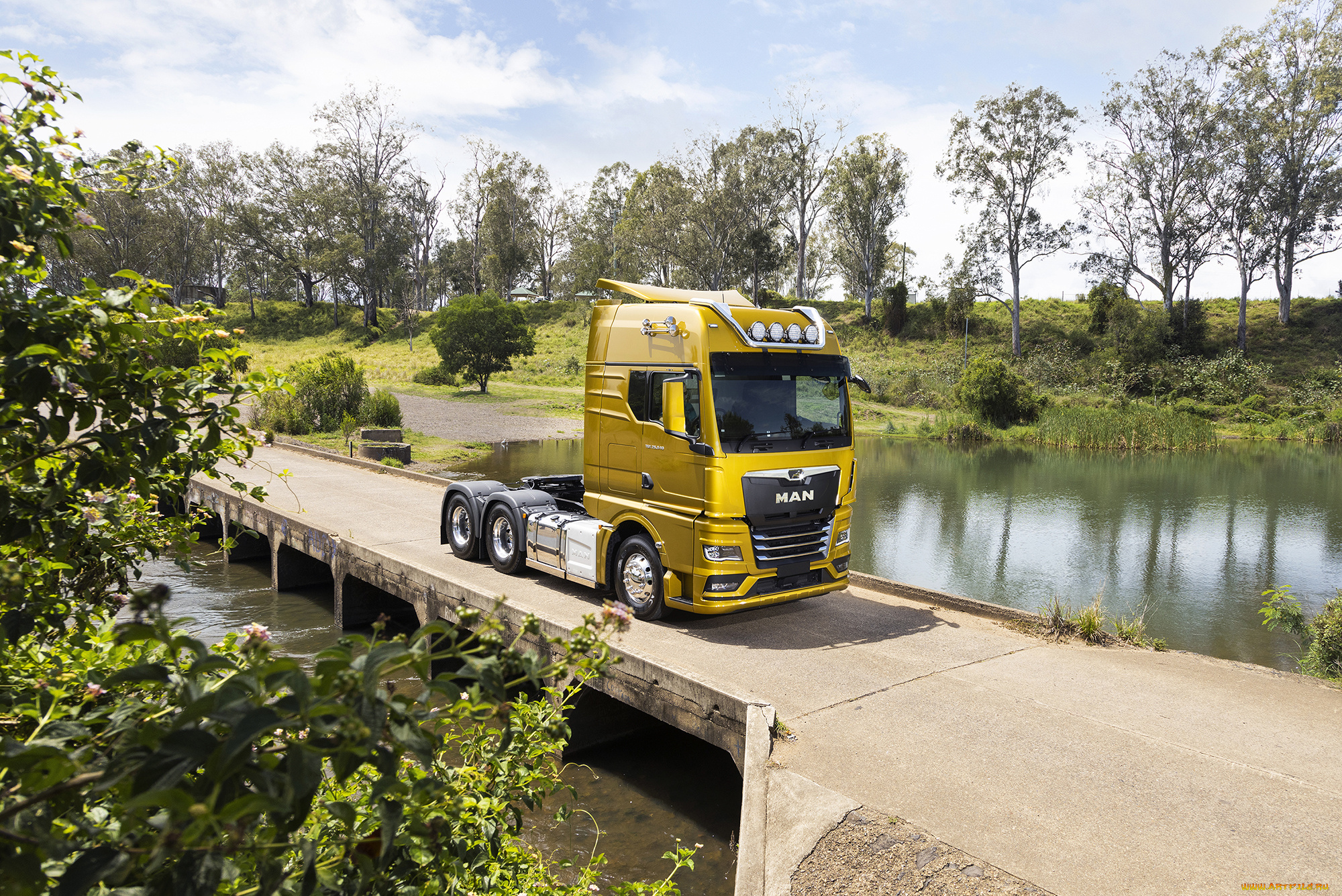 автомобили, man