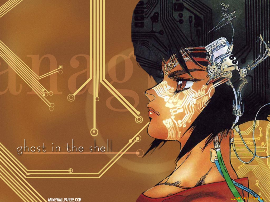 аниме, ghost, in, the, shell