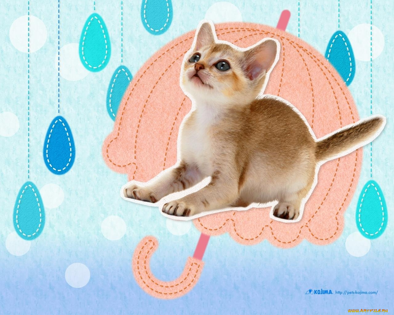 животные, коты