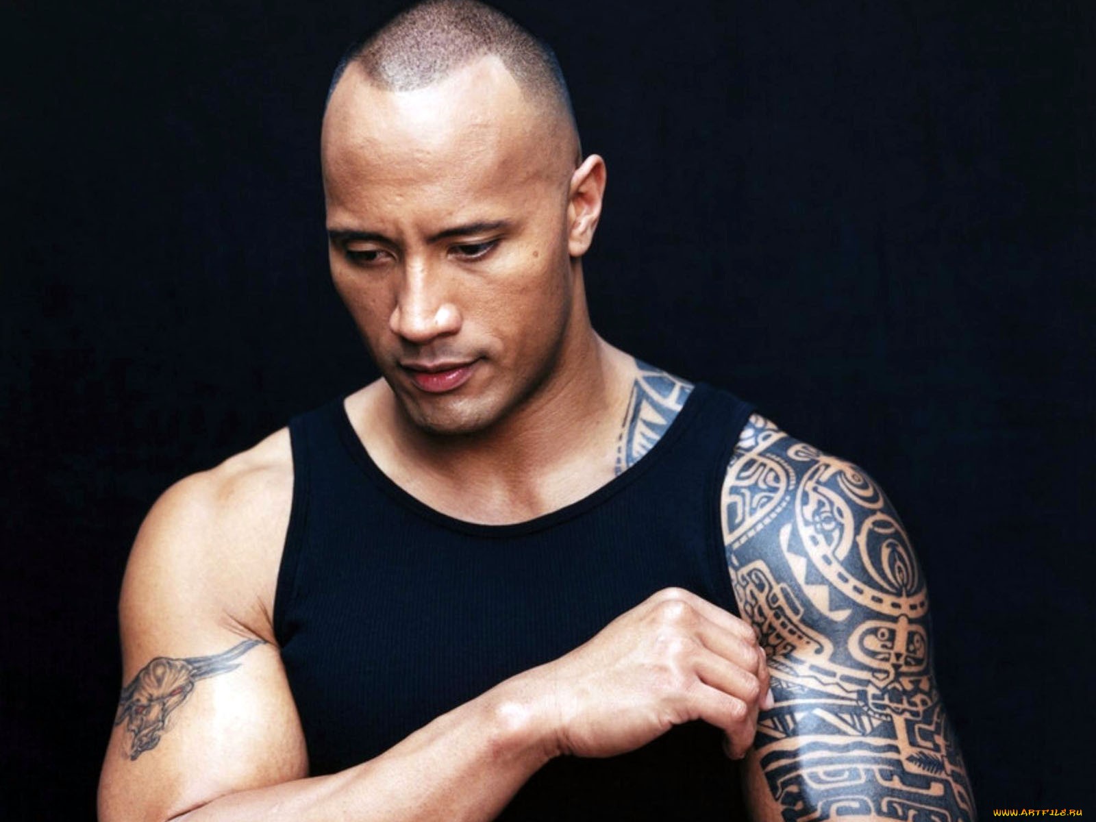 мужчины, dwayne, johnson, the, rock