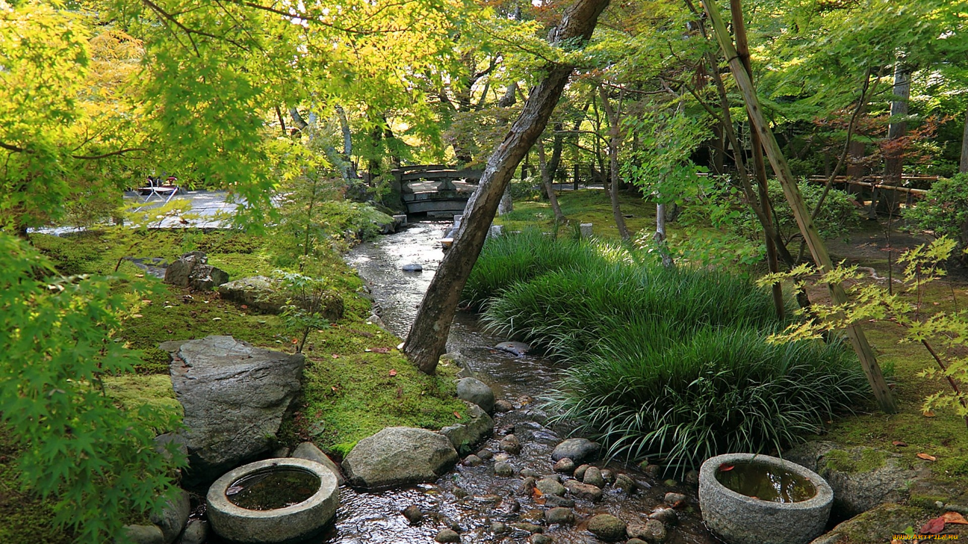 природа, парк