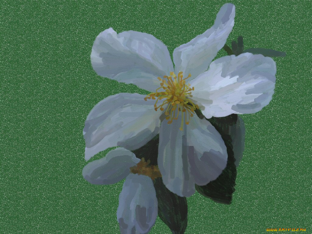 рисованные, цветы