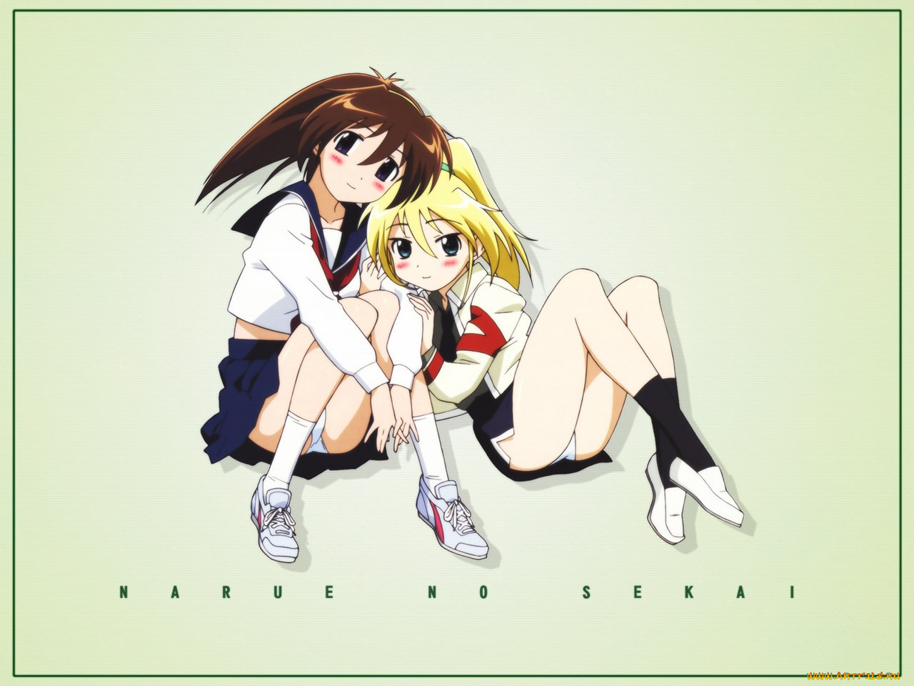 narue, no, seikai, аниме