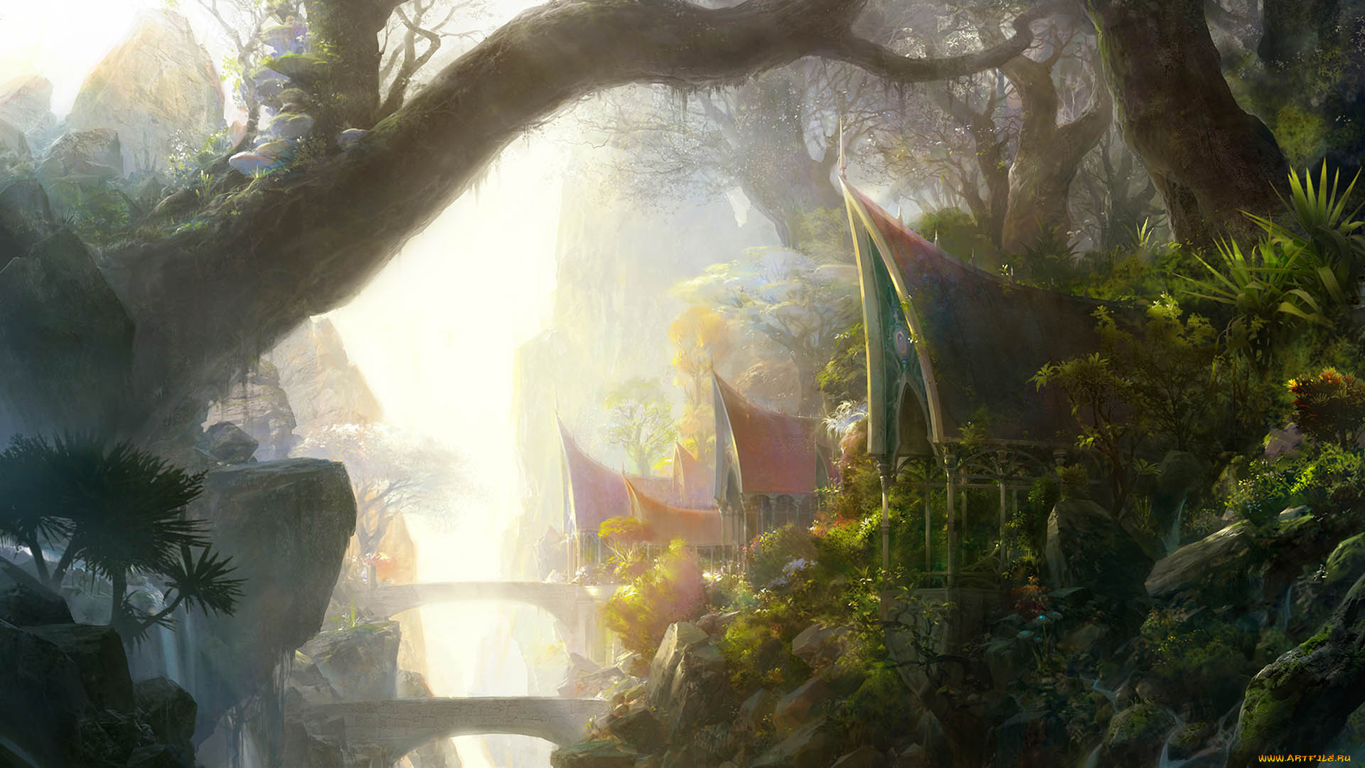 ned, видео, игры