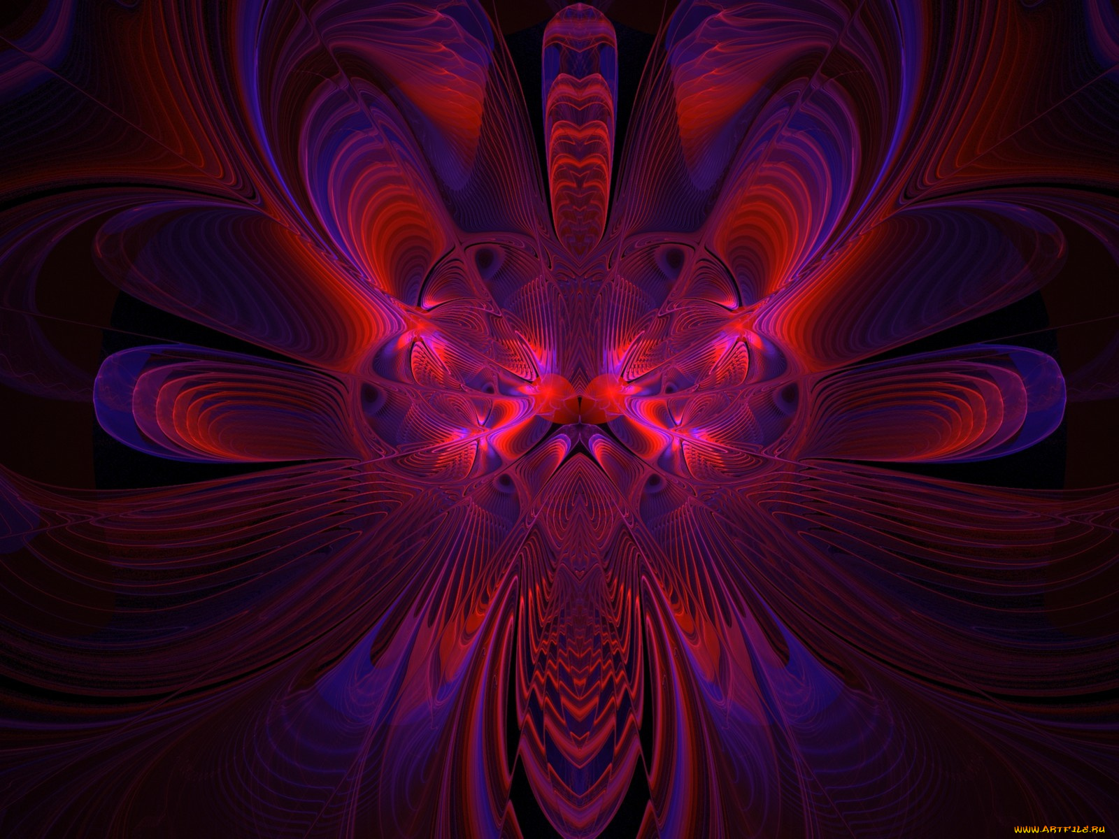 3д, графика, fractal, фракталы, цвета, линии, узор, фон, рисунок