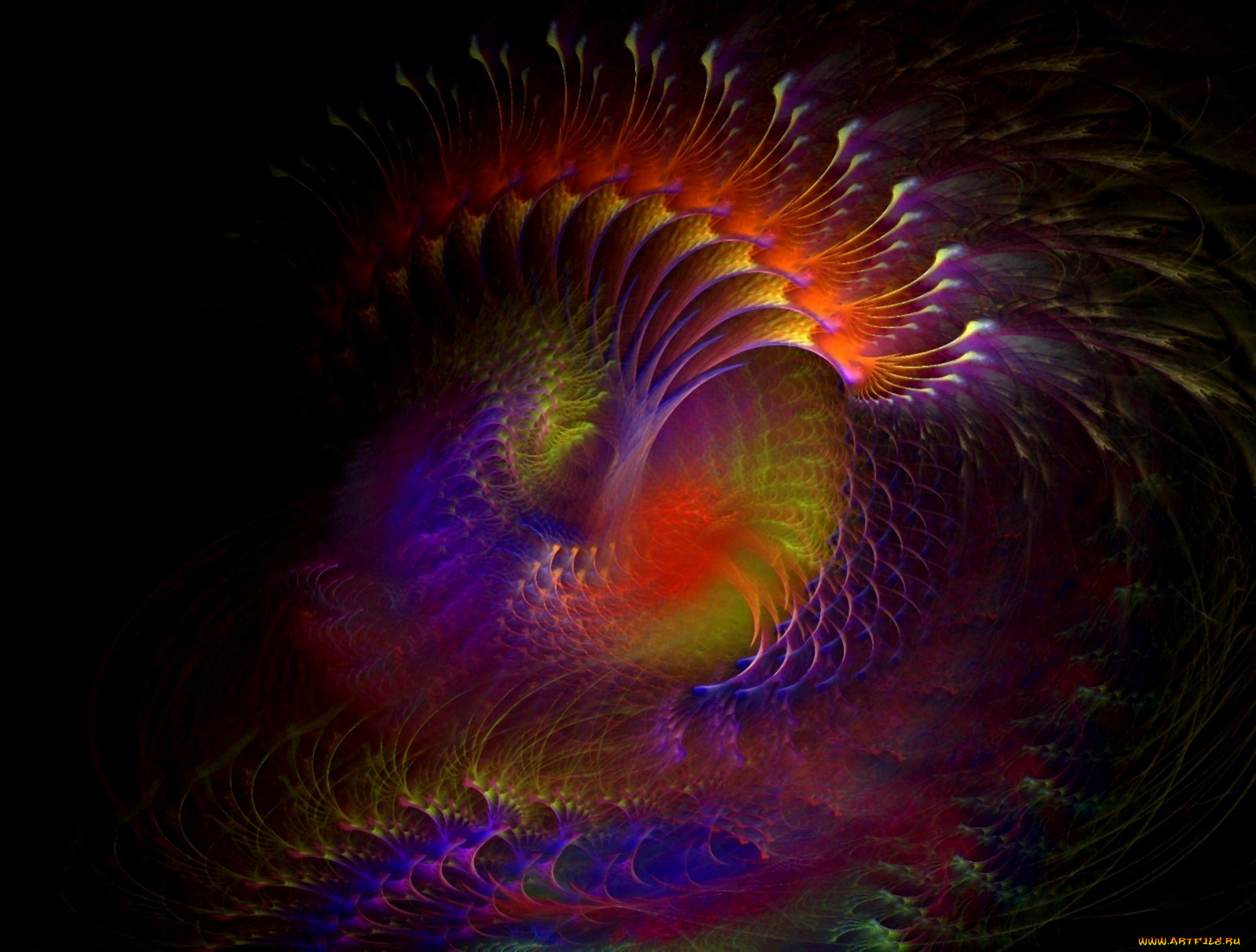 3д, графика, fractal, фракталы, цвета, линии, узор, фон, рисунок