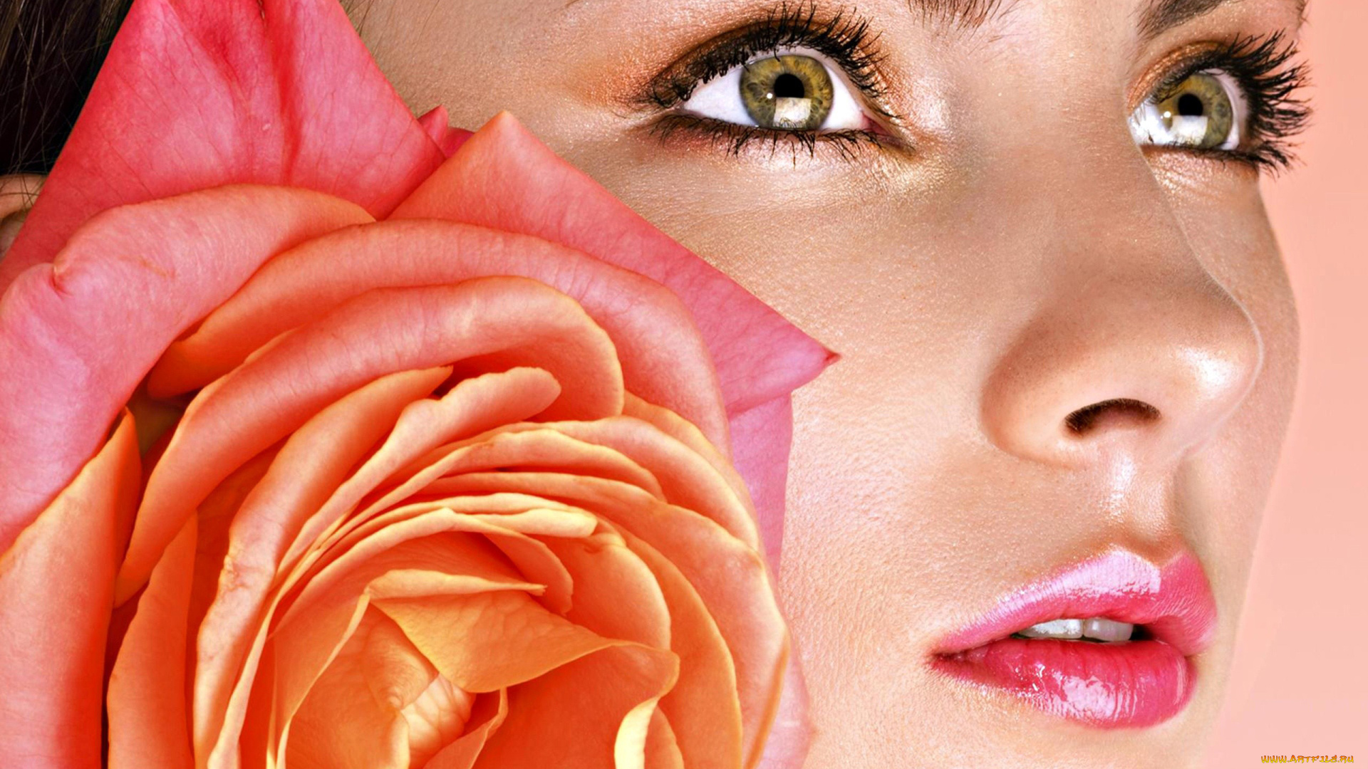 -Unsort, Лица, Портреты, девушки, unsort, лица, портреты, лицо, роза