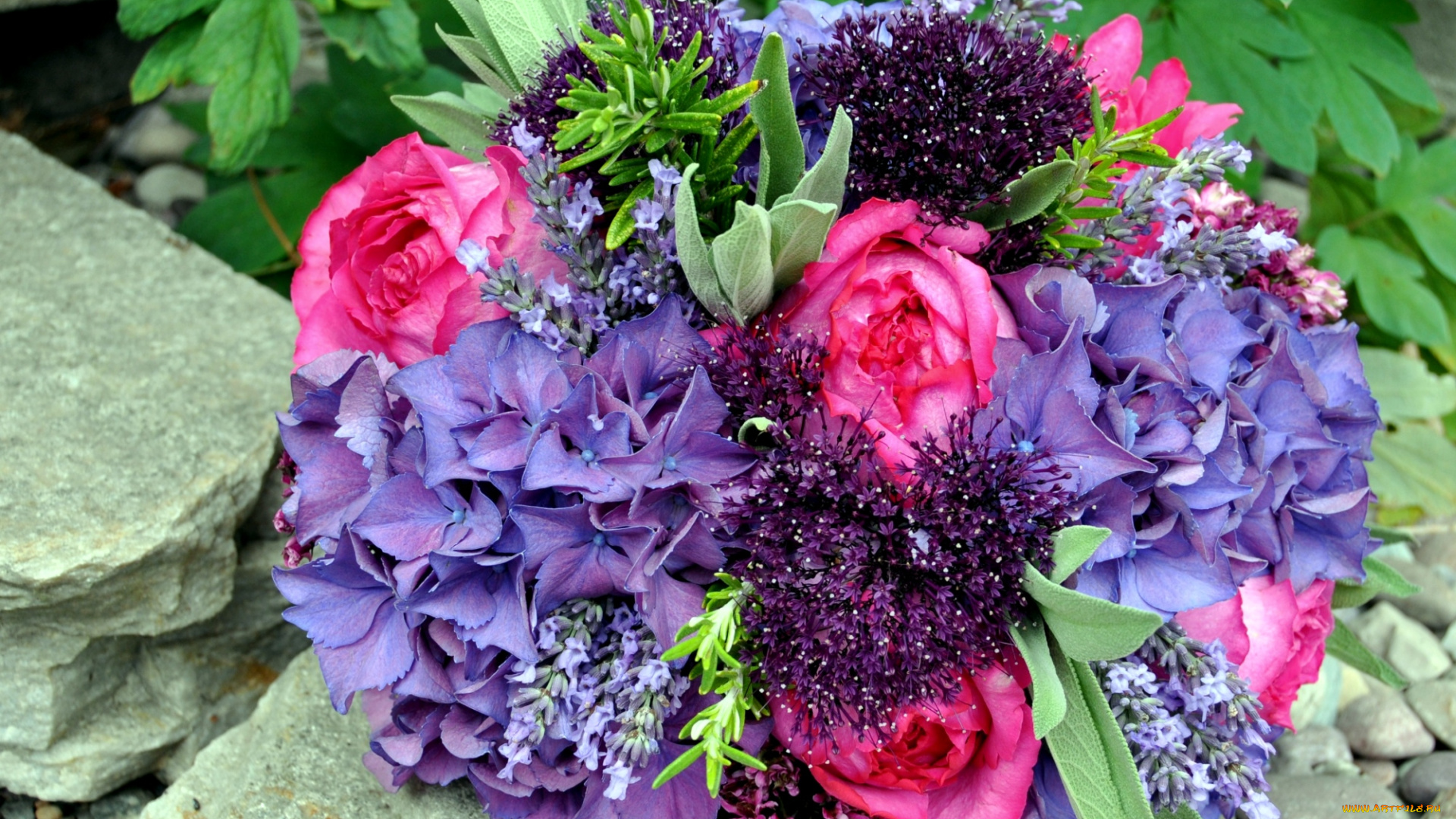 цветы, букеты, композиции, гортензия, розы