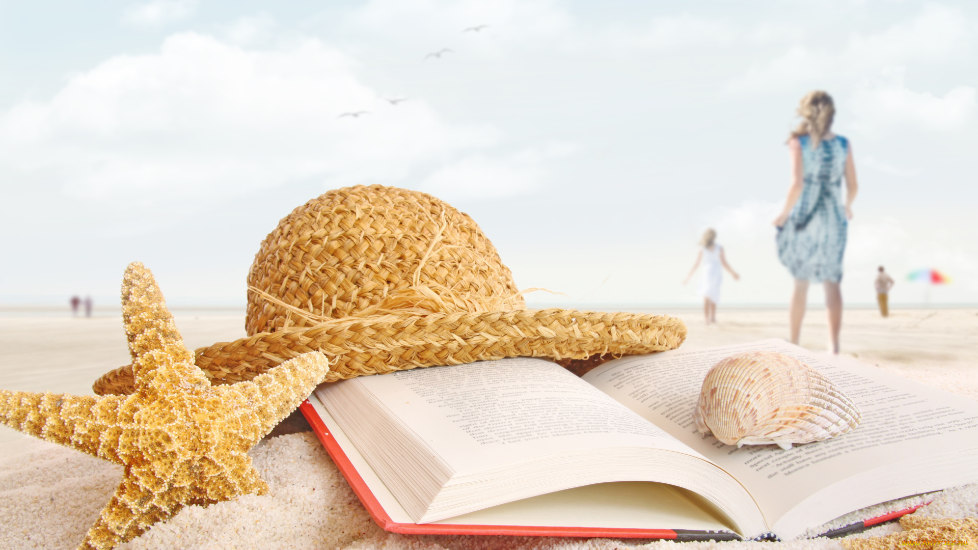 разное, ракушки, кораллы, декоративные, spa, камни, шляпа, пляж, песок, книга, ракушка, морская, звёзда