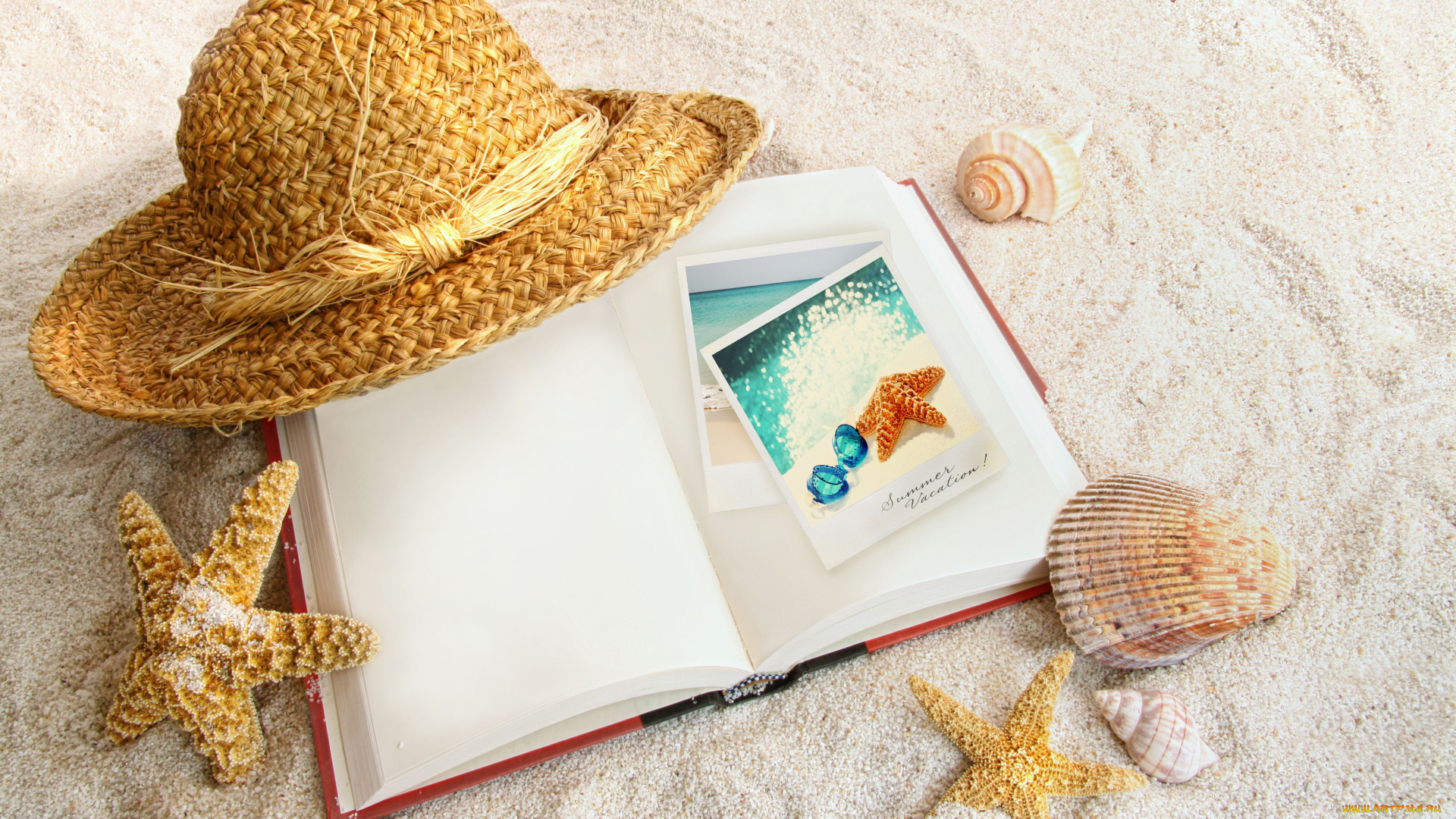 разное, ракушки, кораллы, декоративные, spa, камни, морские, звёзды, шляпа, книга, песок