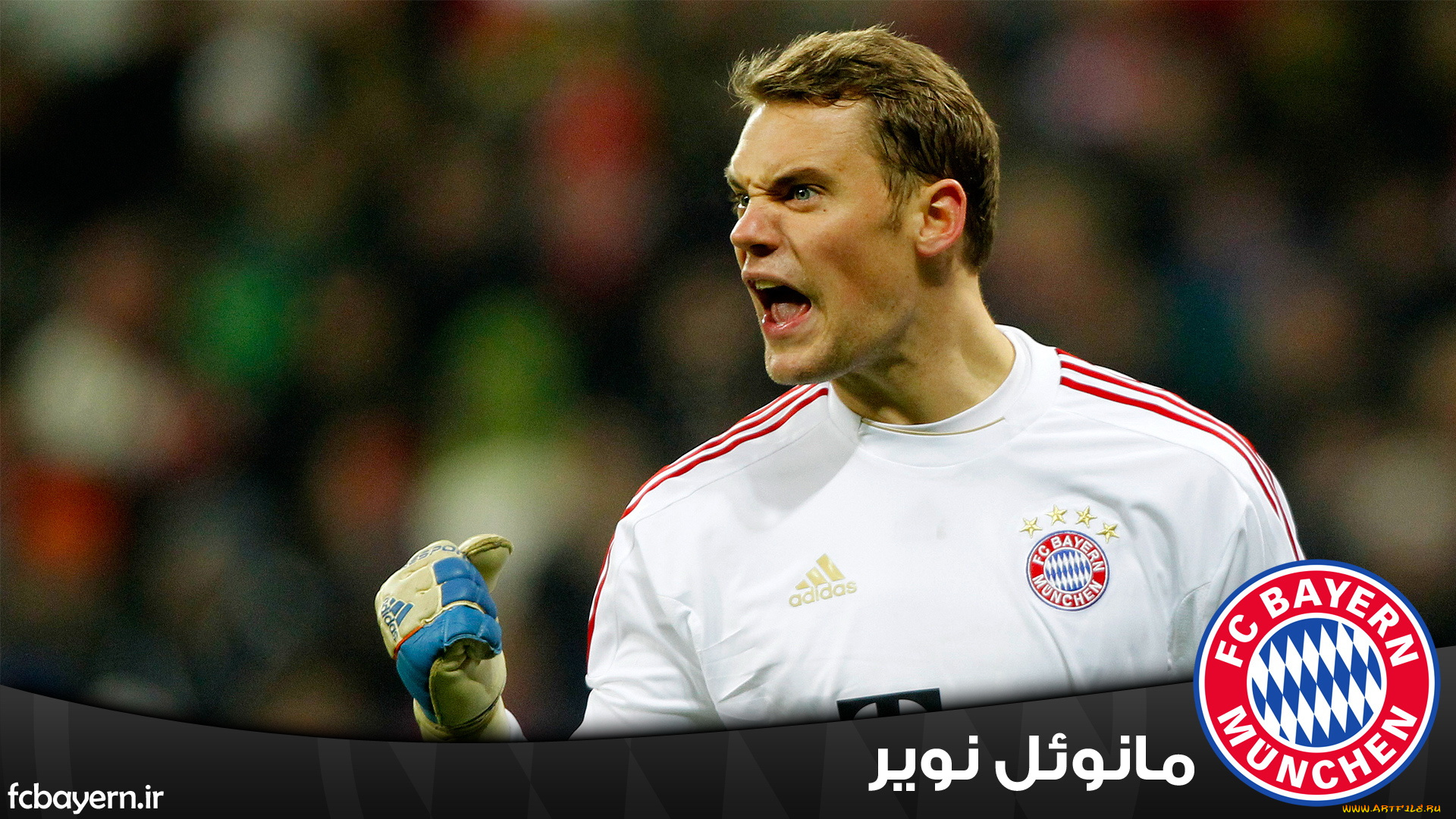 спорт, футбол