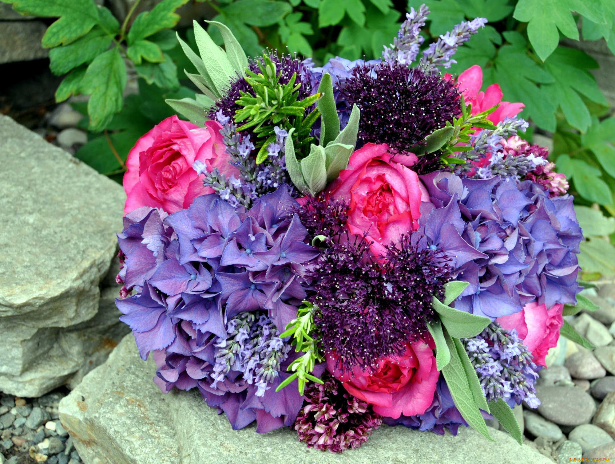 цветы, букеты, композиции, гортензия, розы
