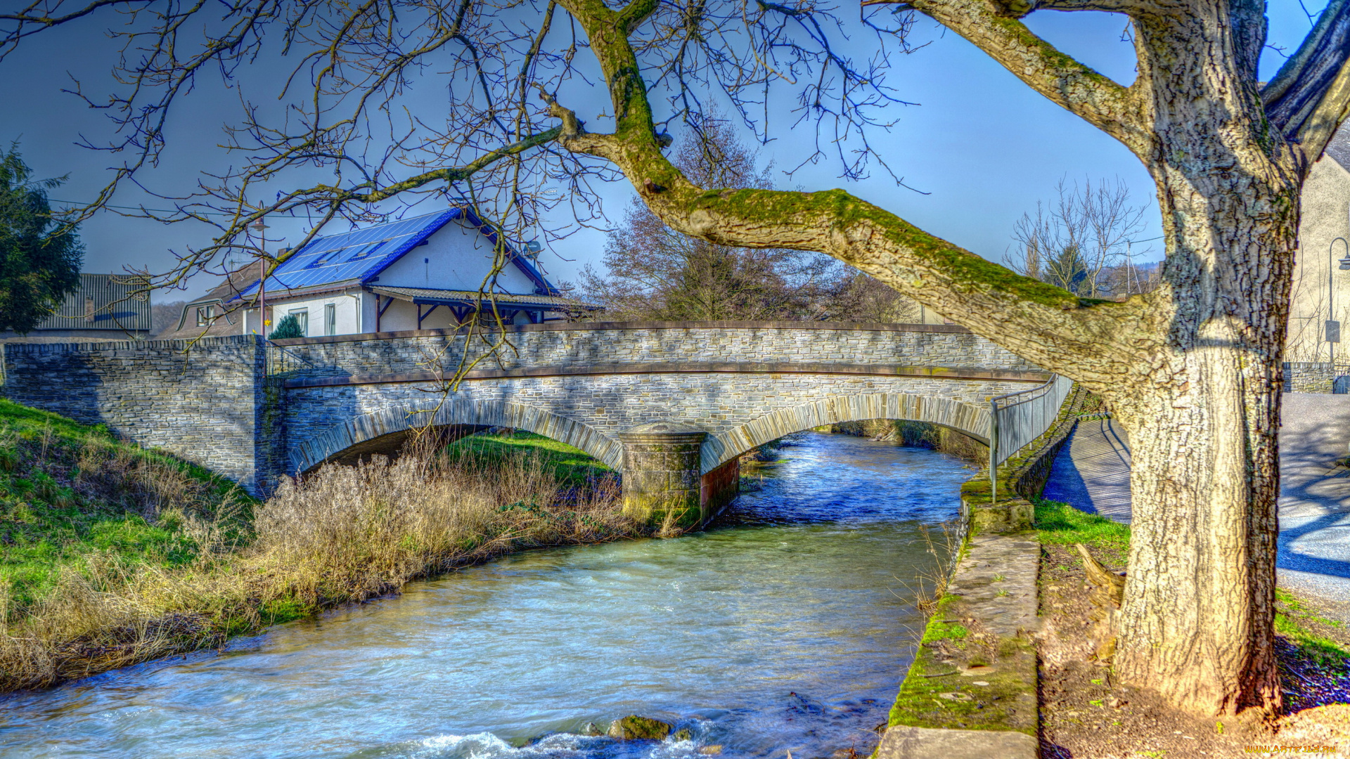 мозель, германия, города, -, мосты, леревья, весна, река, мост