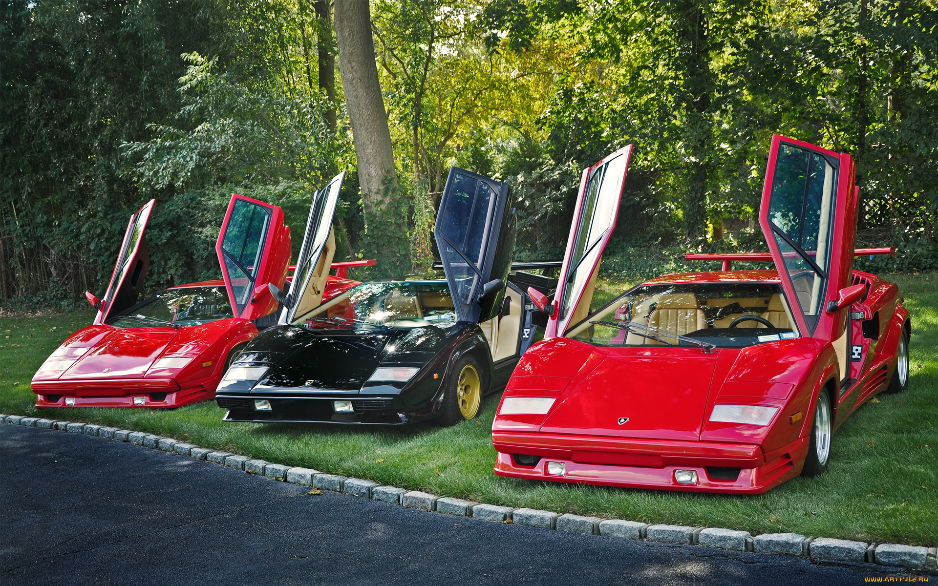 автомобили, lamborghini, трава, двери, черный, красные, трио, деревья, лужайка, парк