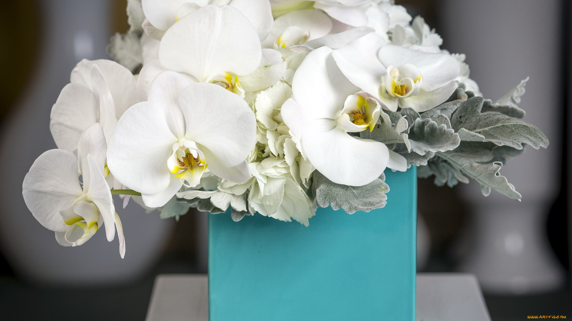 цветы, букеты, , композиции, гортензия, орхидеи