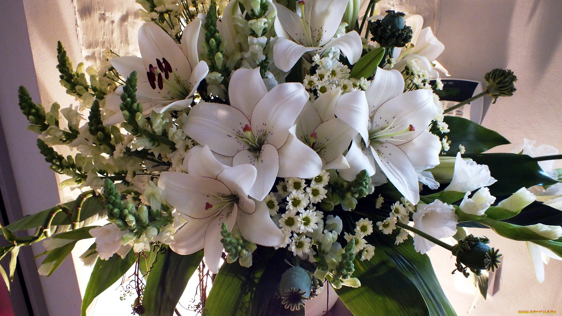 цветы, букеты, , композиции, маки, лилии