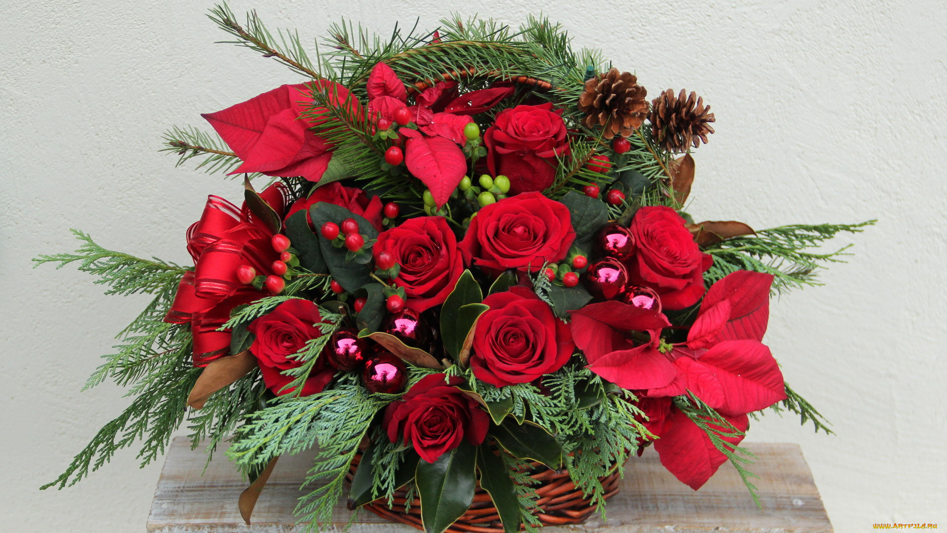цветы, букеты, , композиции, пуансеттия, розы