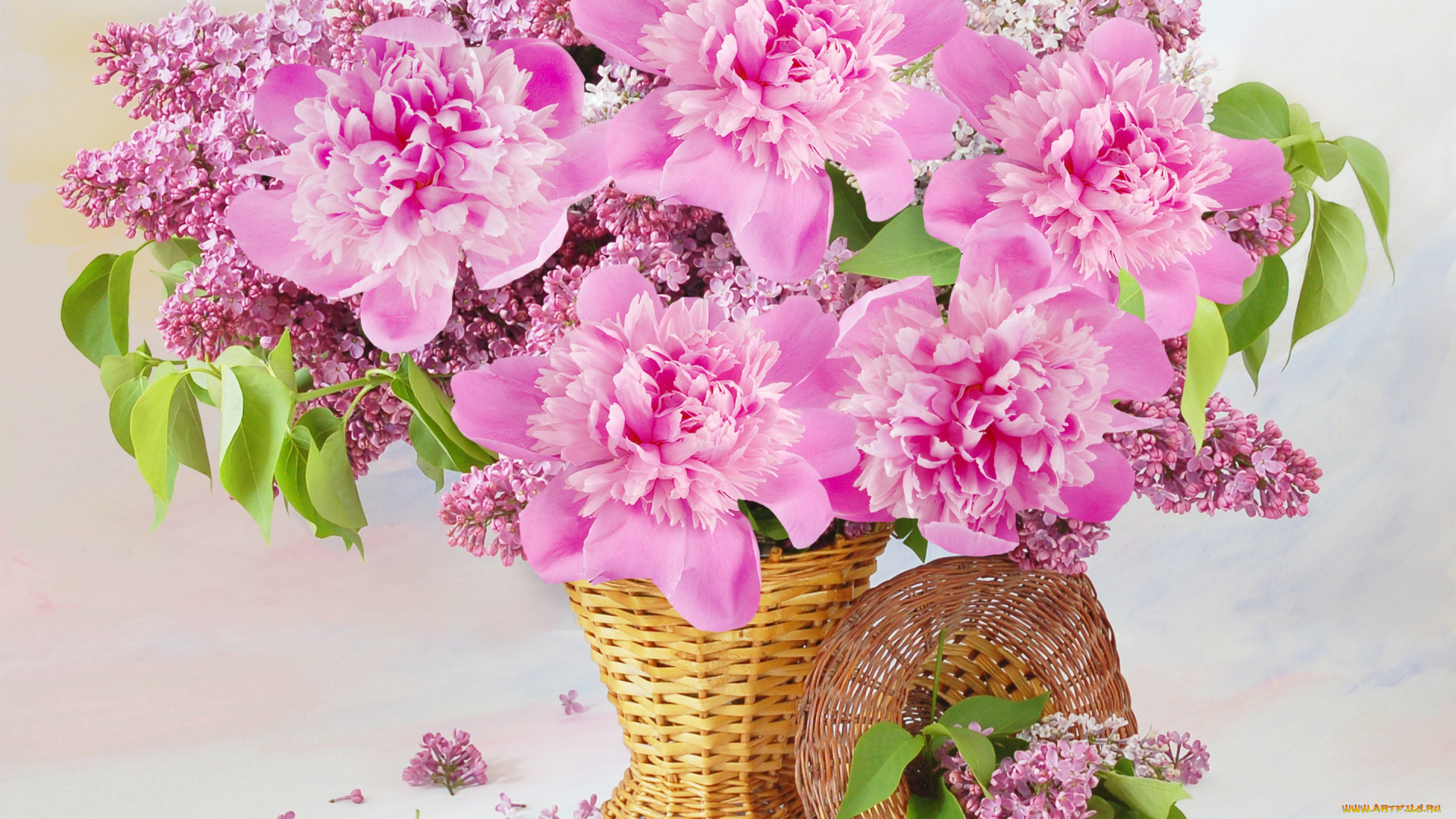 цветы, букеты, , композиции, сирень, пионы